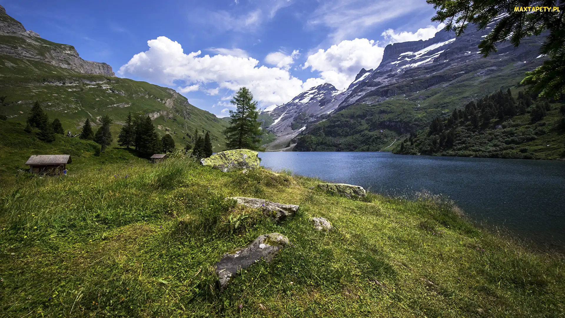 Trawa, Kamienie, Kanton Berno, Drzewa, Jezioro Engstlensee, Szwajcaria, Góry