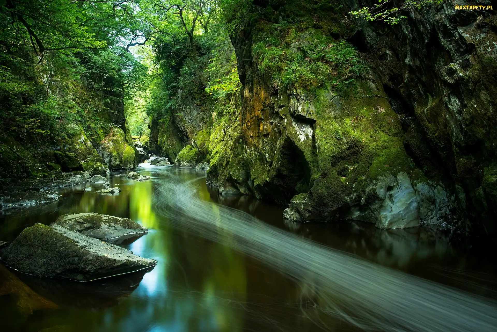Rzeka Conwy, Park Narodowy Snowdonia, Wąwóz Fairy Glen, Walia, Skały, Wioska Betws y Coed, Drzewa, Kamienie