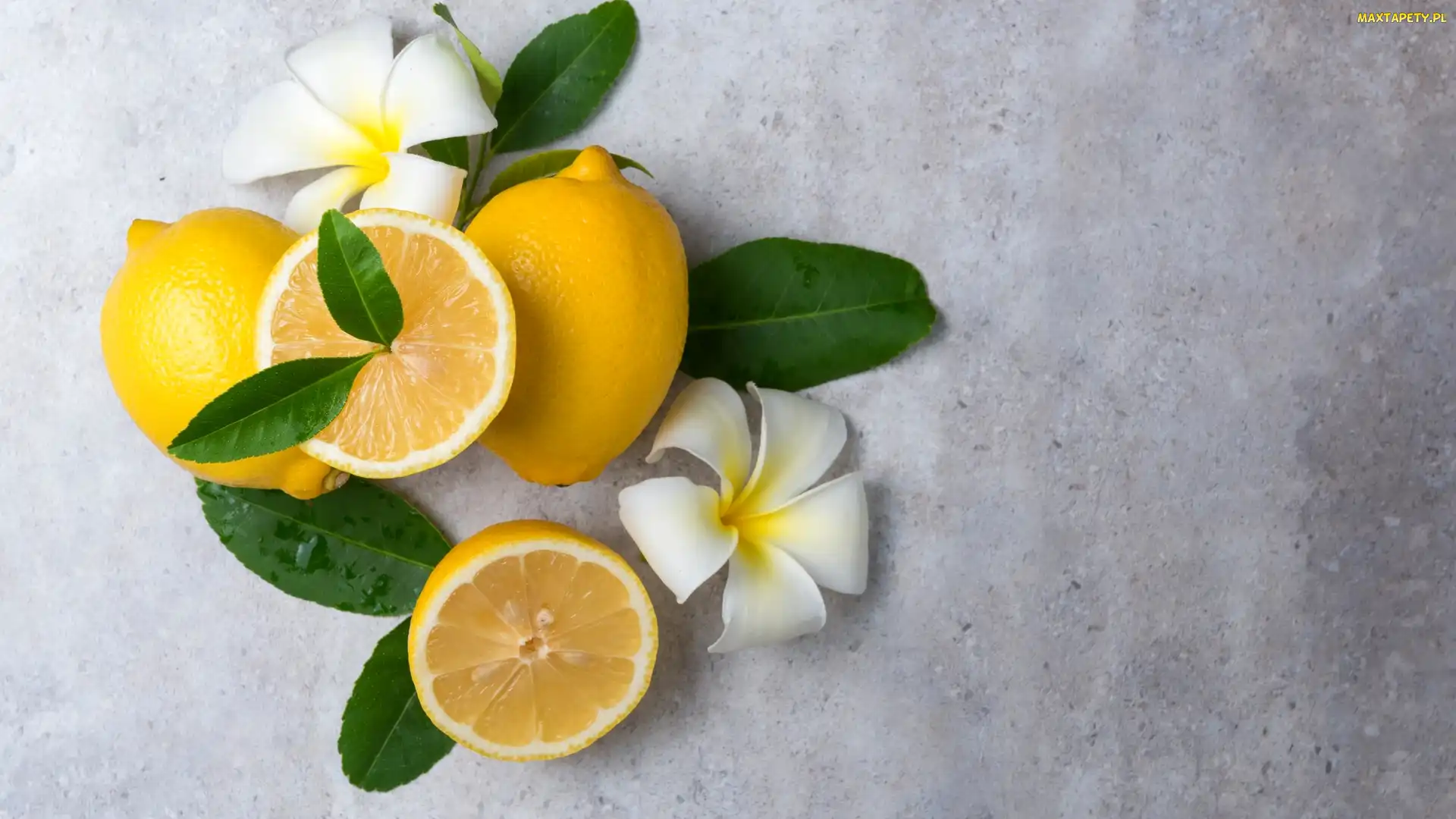Cytryny, Plumeria