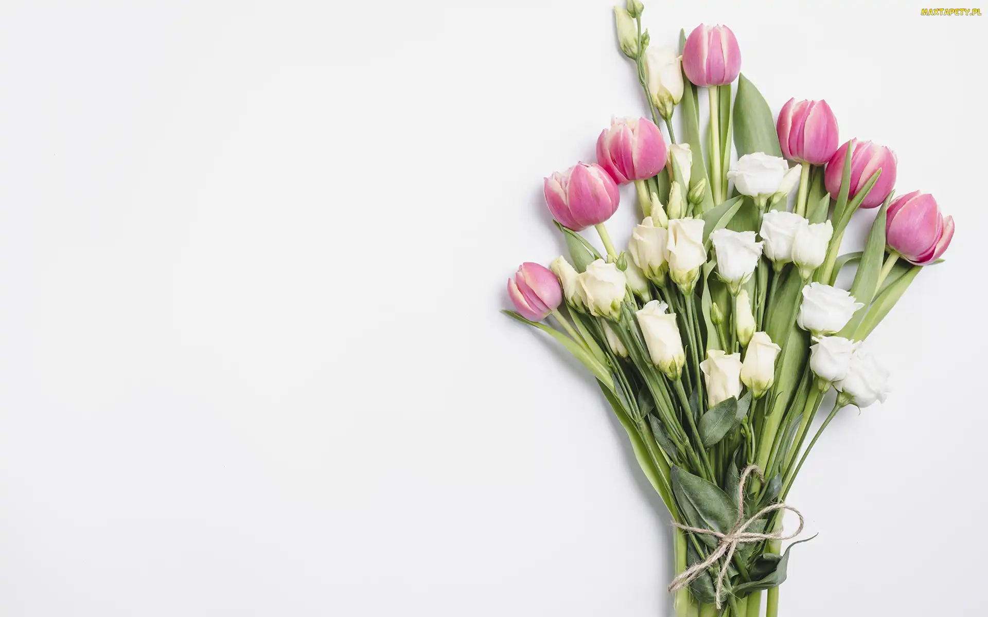 Eustoma, Biała, Bukiet, Kwiaty, Różowe, Tulipany