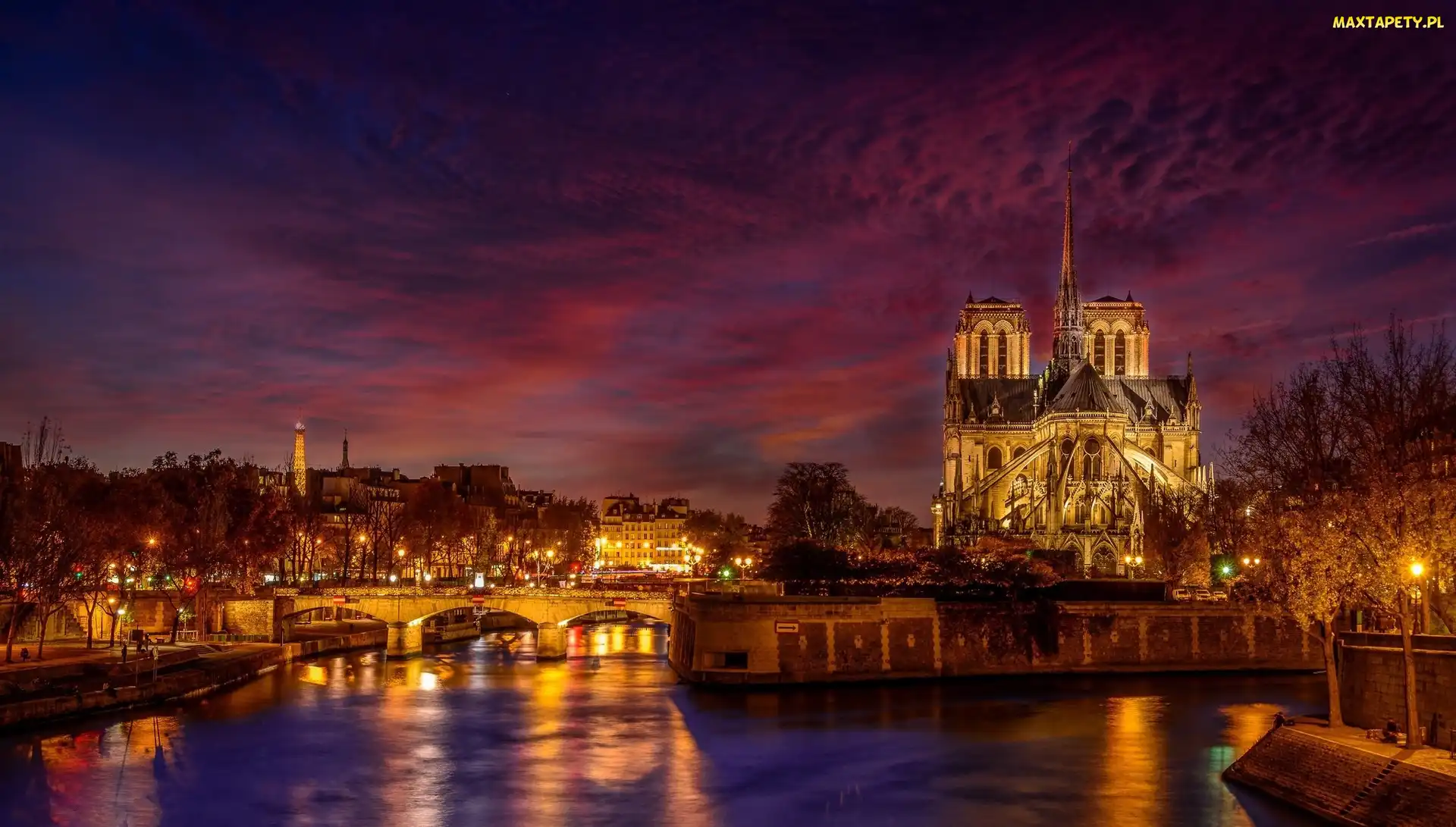 Most, Światła, Paryż, Francja, Katedra Notre-Dame, Rzeka Sekwana