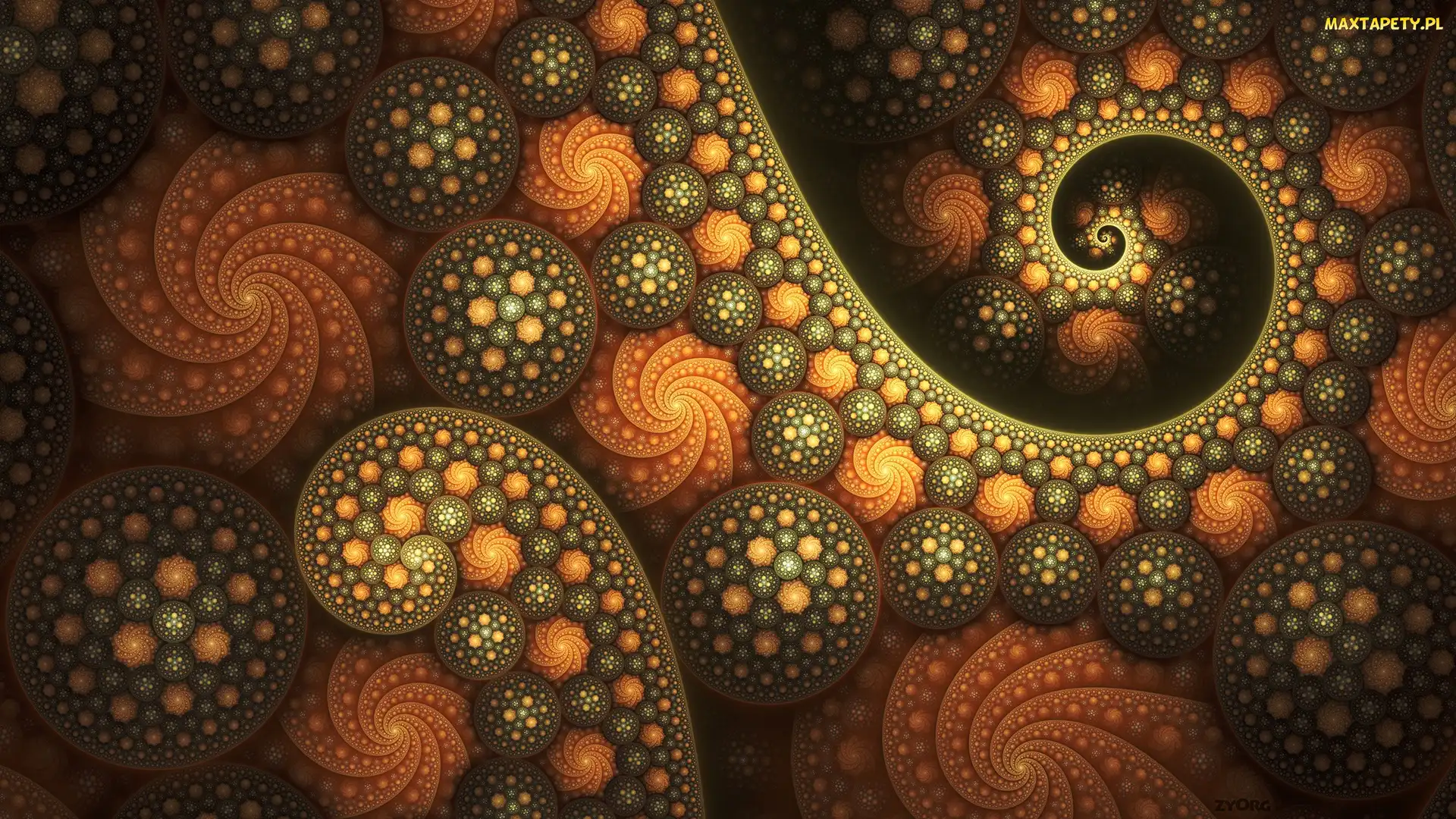 Spiralne, Wzory, Fraktal