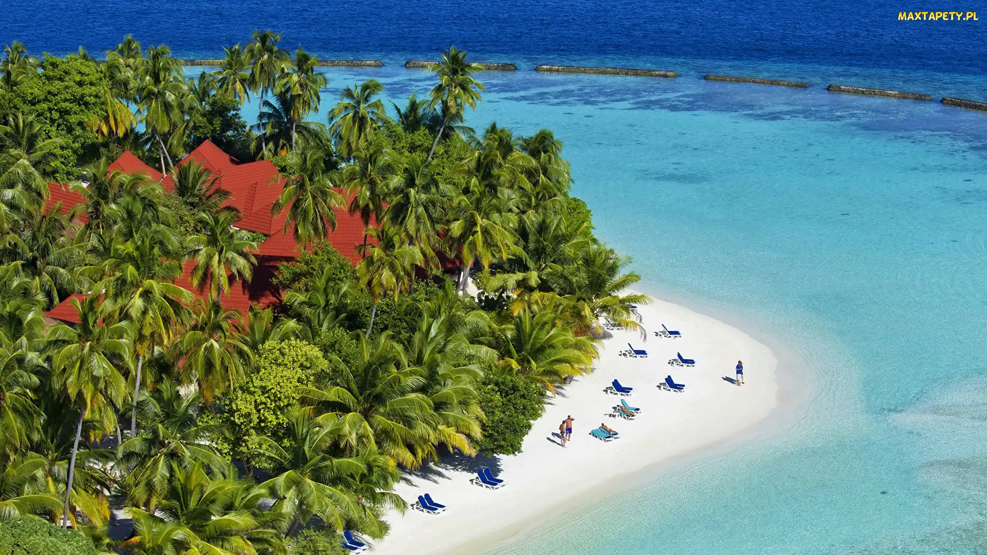 Wyspa Vihamanaafushi, Morze, Hotel Kurumba Maldives, Tropiki, Palmy, Malediwy, Wakacje, Plaża