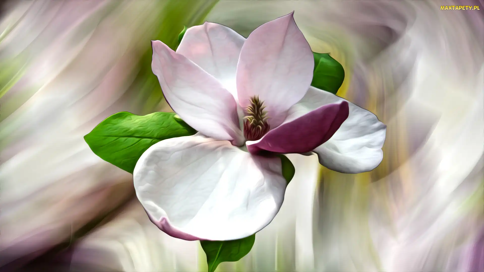 Różowy, Kolorowe tło, Magnolia, Grafika, Kwiat