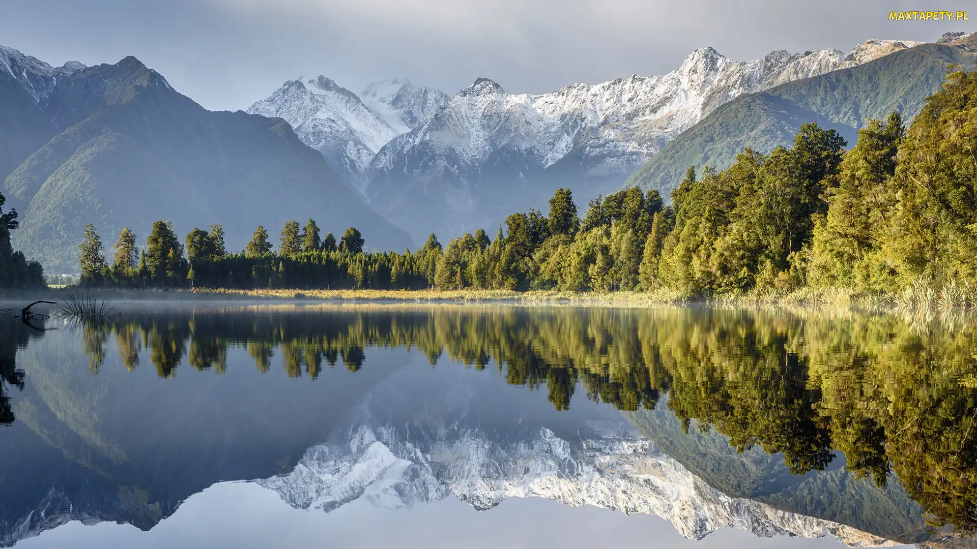Drzewa, Las, Jezioro Lake Matheson, Odbicie, Park Narodowy Góry Cooka, Góry Alpy Południowe, Nowa Zelandia
