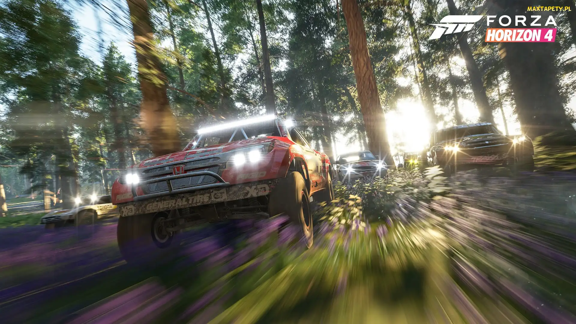 Las, Wyścigi, Forza Horizon 4, Samochody