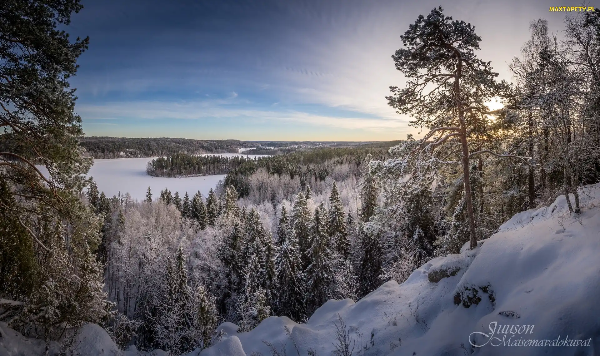 Drzewa, Finlandia, Park Aulanko, Lasy, Hameenlinna, Zima, Jezioro Aulangonjarvi