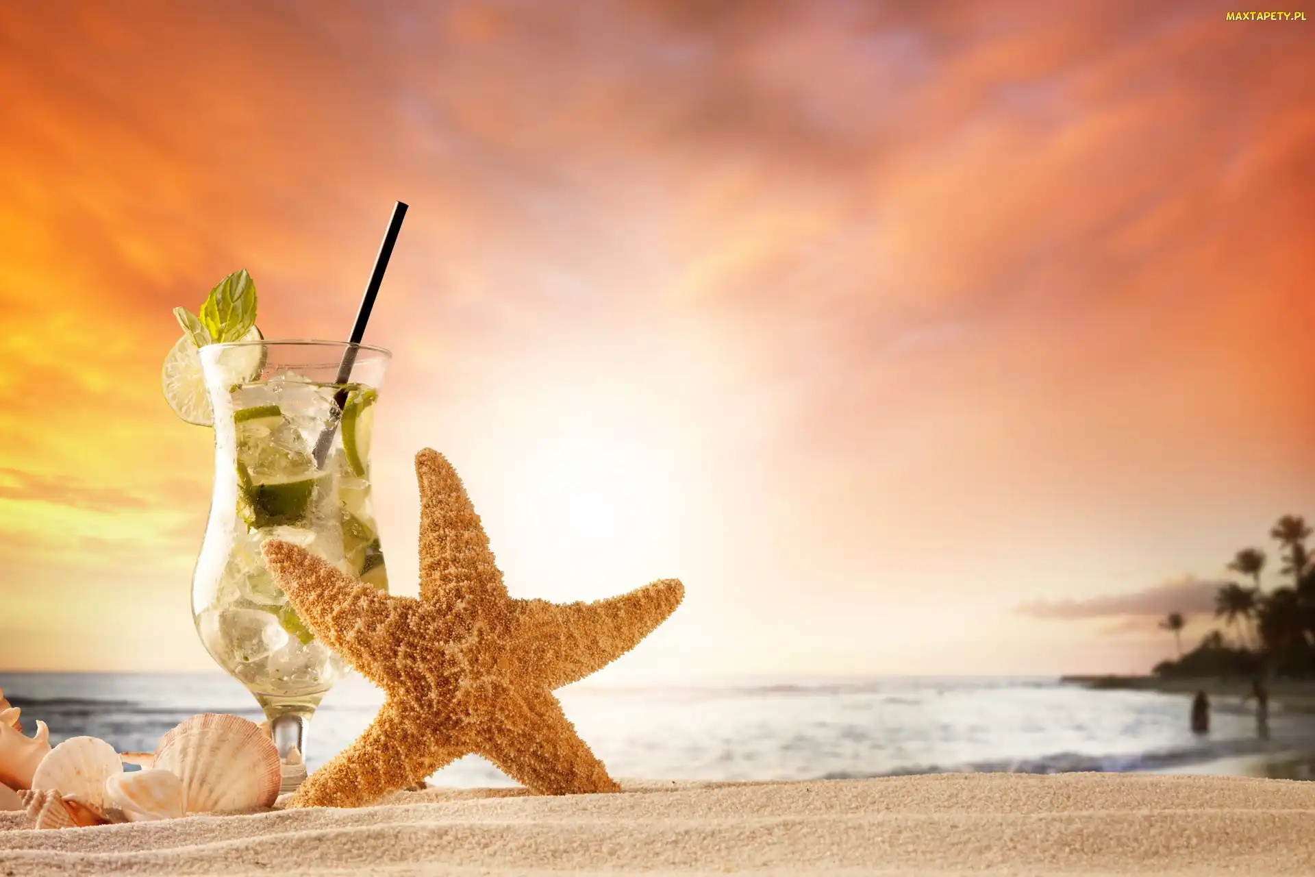 Piasek, Plaża, Mojito, Wakacje, Muszelki, Drink, Rozgwiazda