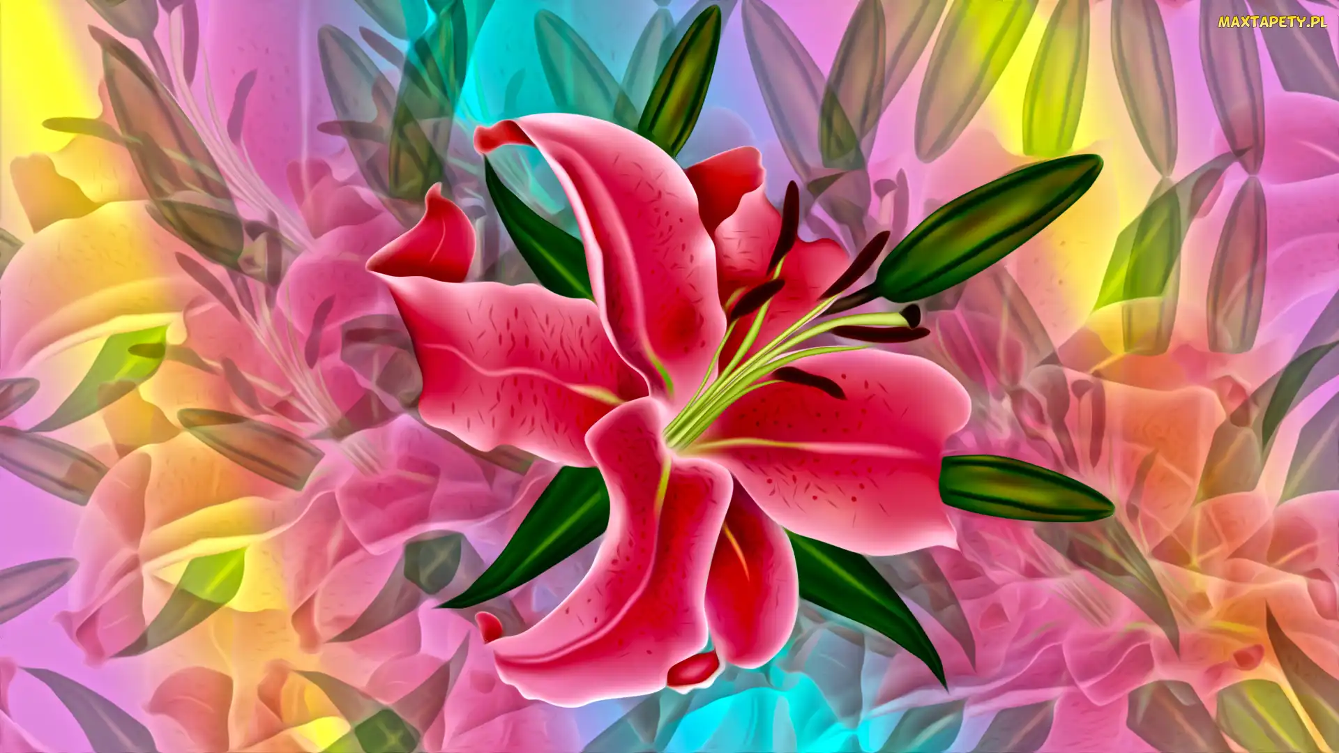 Kwiaty, Lilia, Grafika