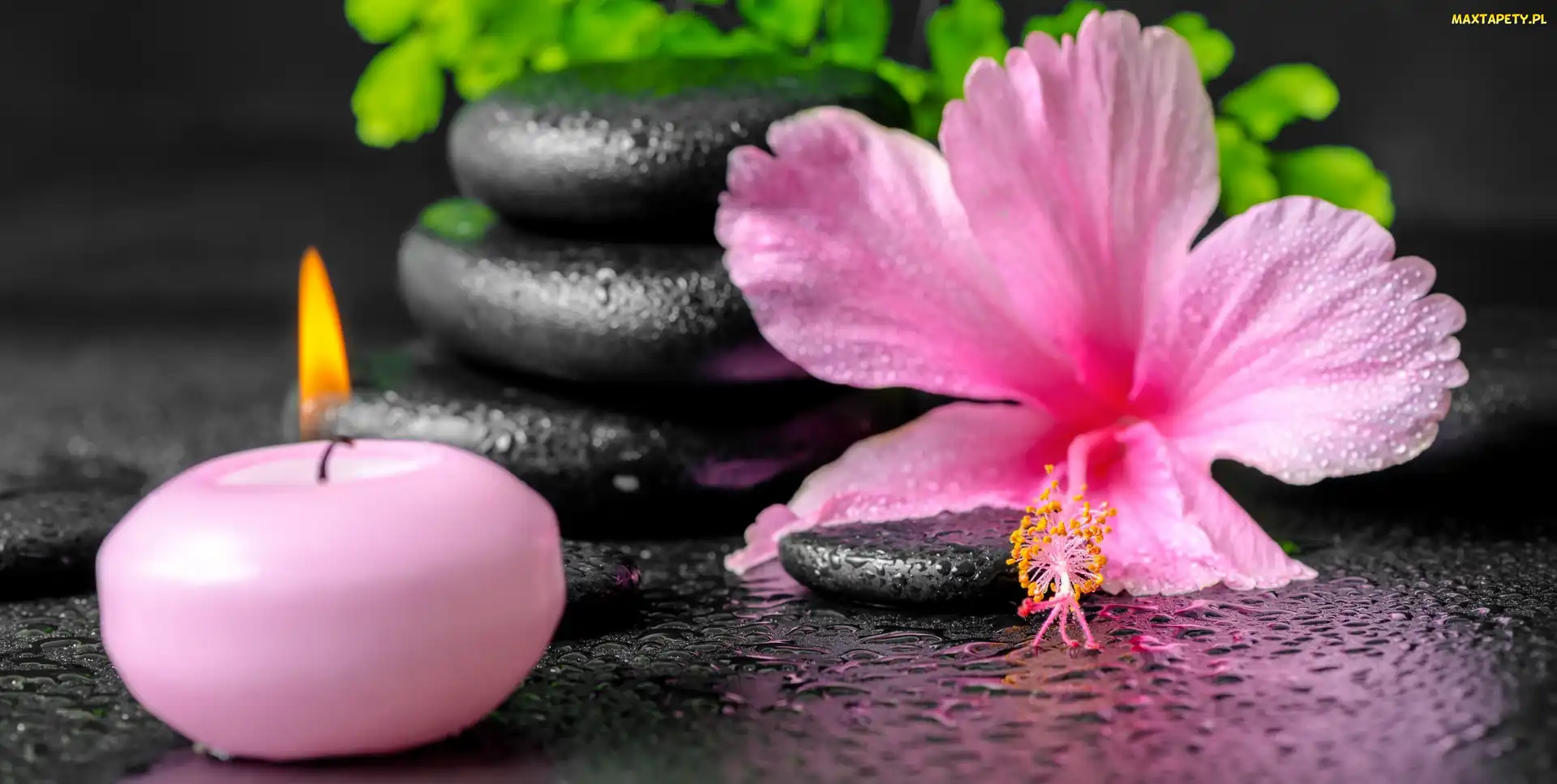 Kamienie, SPA, Hibiskus, Kwiat, Świeca