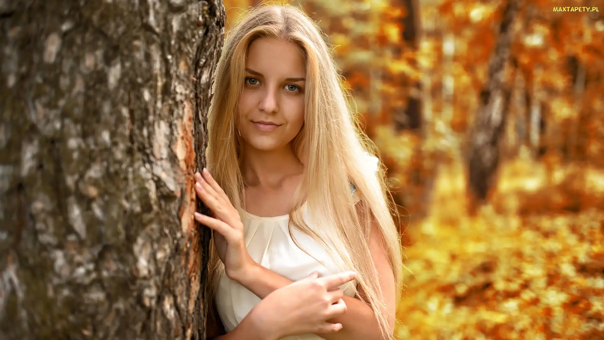 Drzewo, Blondynka, Kobieta, Długowłosa