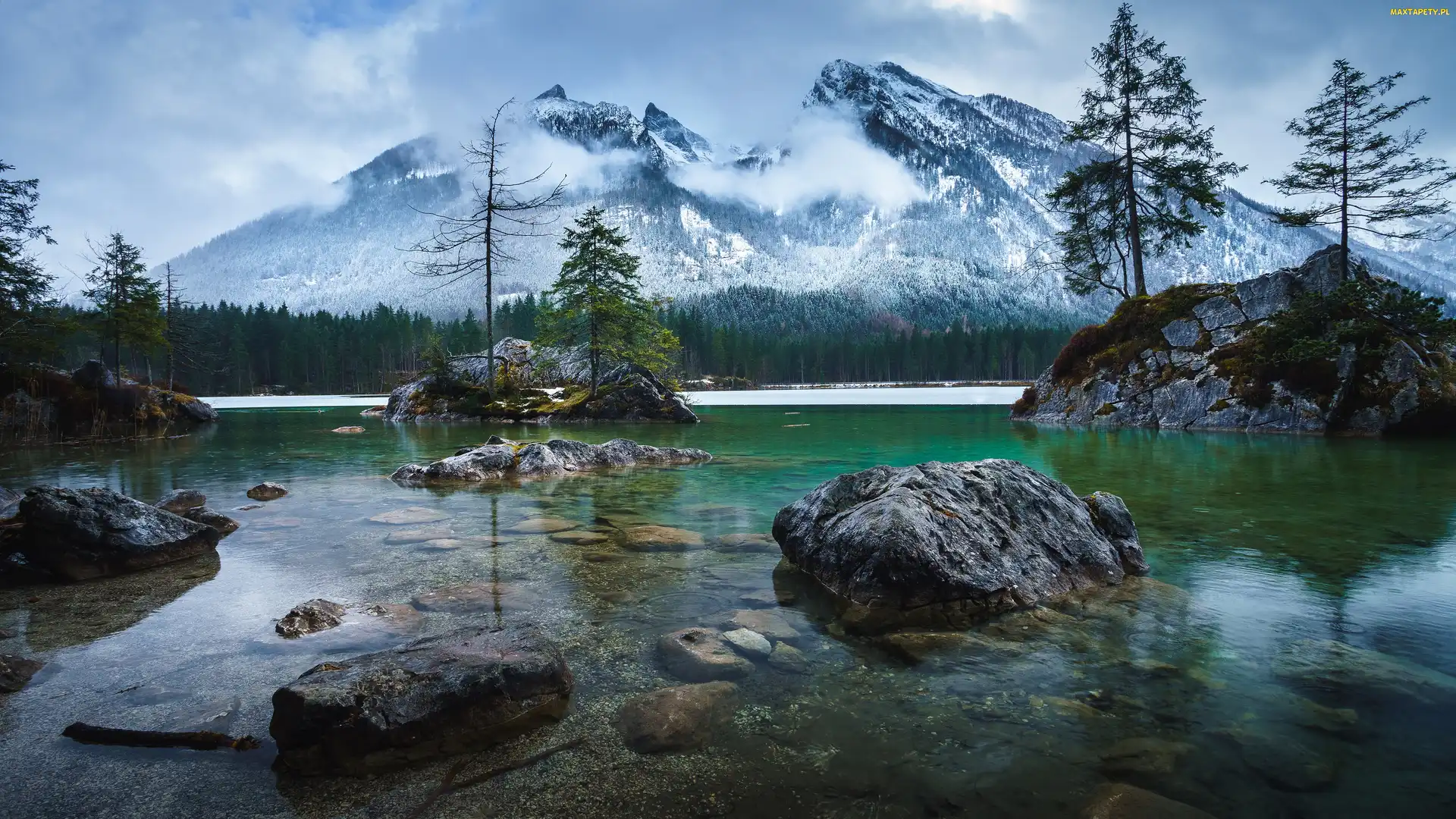 Drzewa, Skały, Bawaria, Jezioro Hintersee, Niemcy, Góry