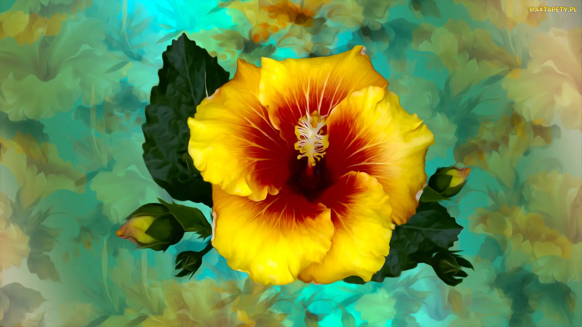 Kolorowe tło, Grafika, Kwiat, Hibiskus