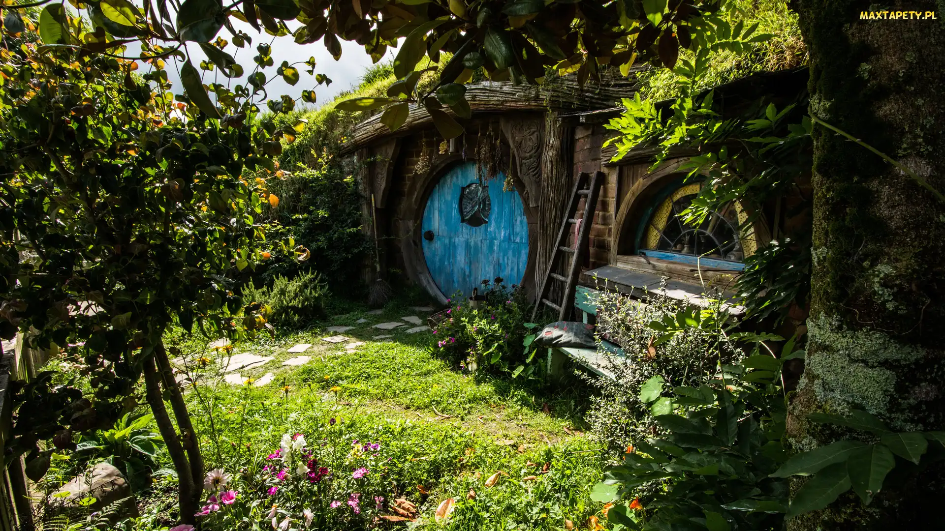 Turystyczna, Miejscowość Matamata, Atrakcja, Hobbiton Movie Set, Domek, Plan filmowy Hobbiton, Hobbita, Nowa Zelandia