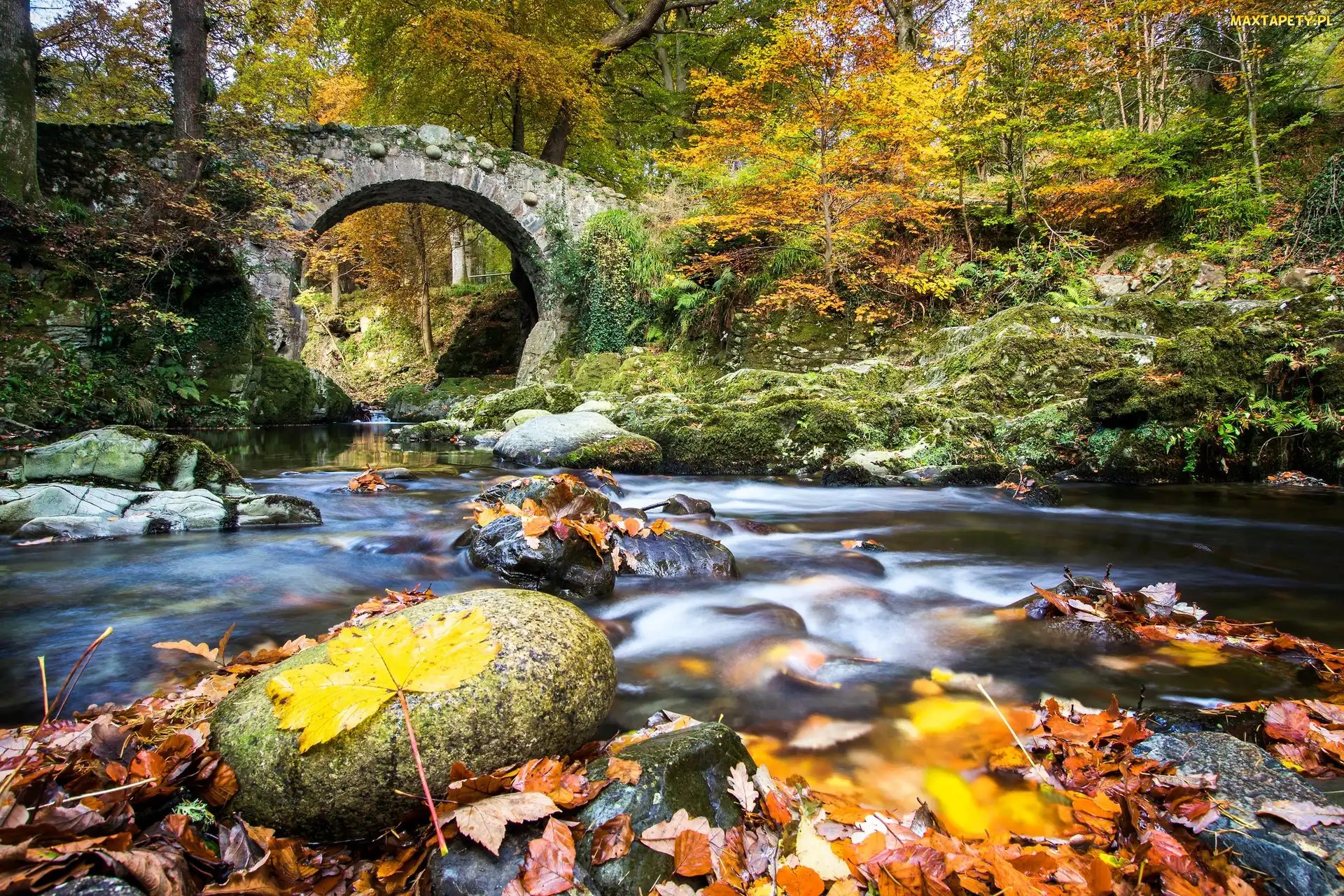 Irlandia Północna, Kamienie, Kamienny, Liście, Most, Rzeka Shimna, Park Tollymore Forest, Jesień, Las