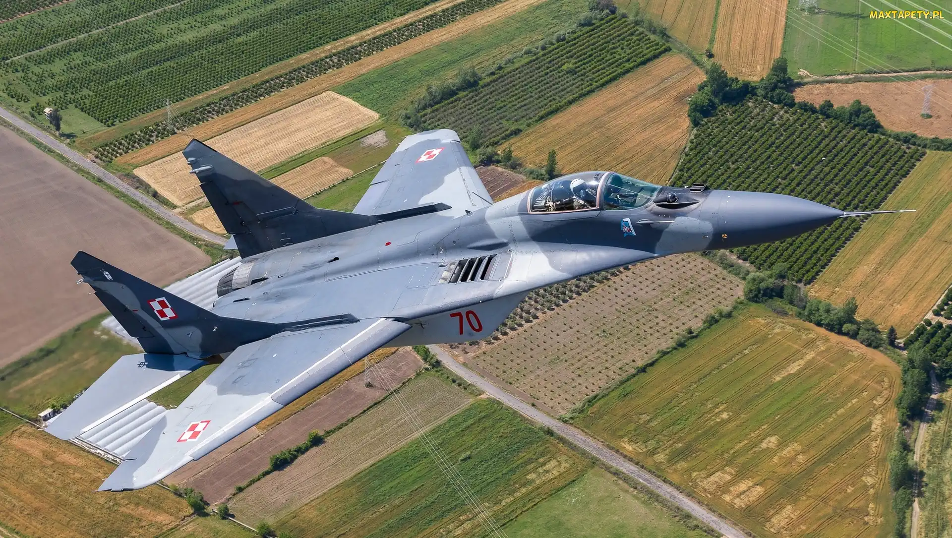 Myśliwiec MiG-29A, Pola, Samolot