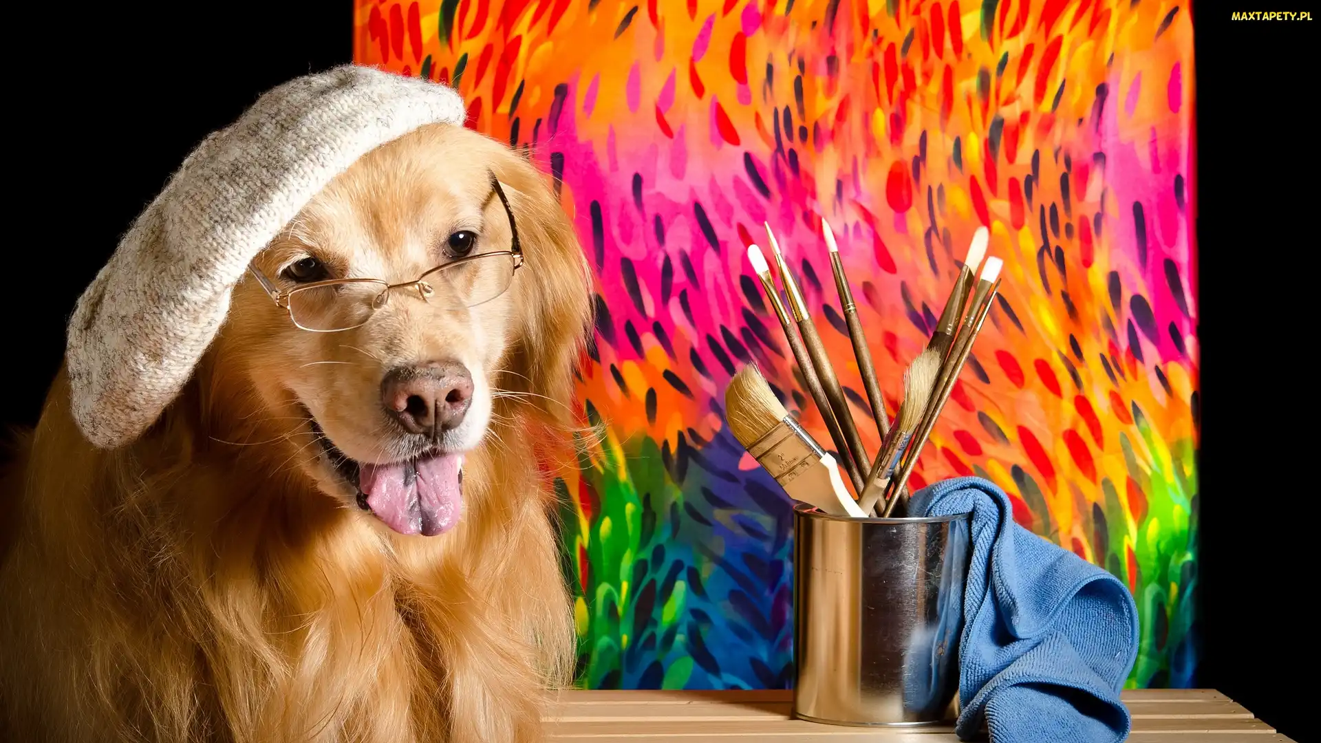 Golden retriever, Pędzelki, Pies, Okulary, Szmatka, Czapka, Obraz, Kubek