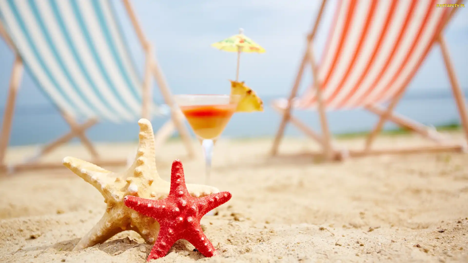 Drink, Plaża, Piasek, Leżaki, Rozgwiazdy