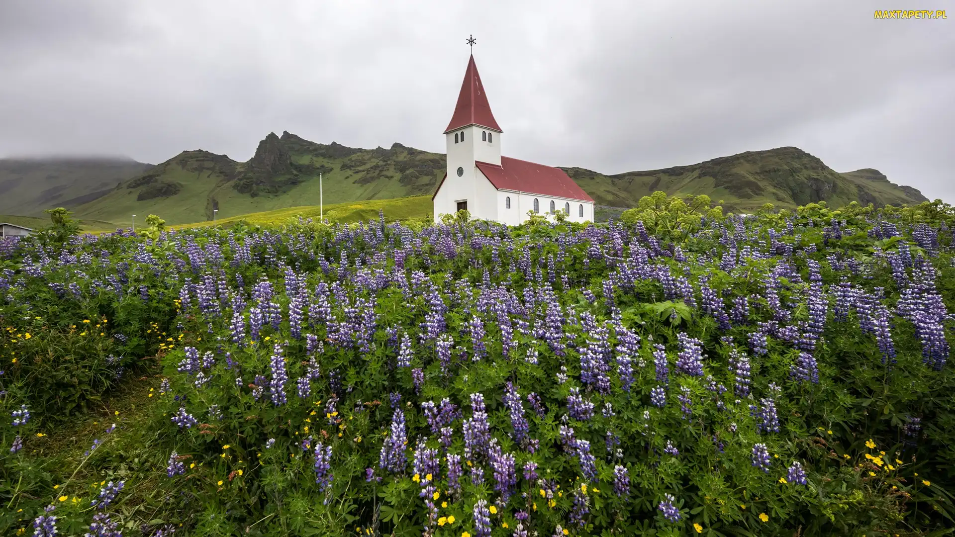 Kościół, Łubin, Islandia, Miejscowość Vik i Myrdal, Gmina Myrdalshreppur, Góry