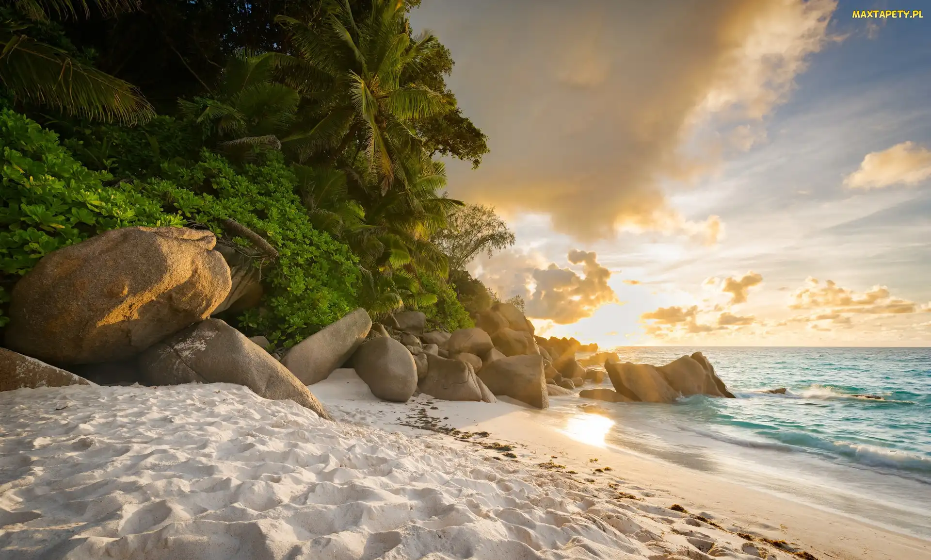 Plaża Anse, Wyspa Praslin, Rośliny, Seszele, Chmury, Palmy, Morze, Brzeg, Kamienie