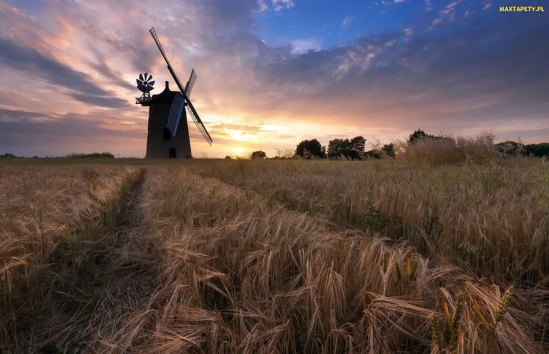 Anglia, Hrabstwo Oxfordshire, Wiatrak, Pole, Zachód słońca, Great Haseley