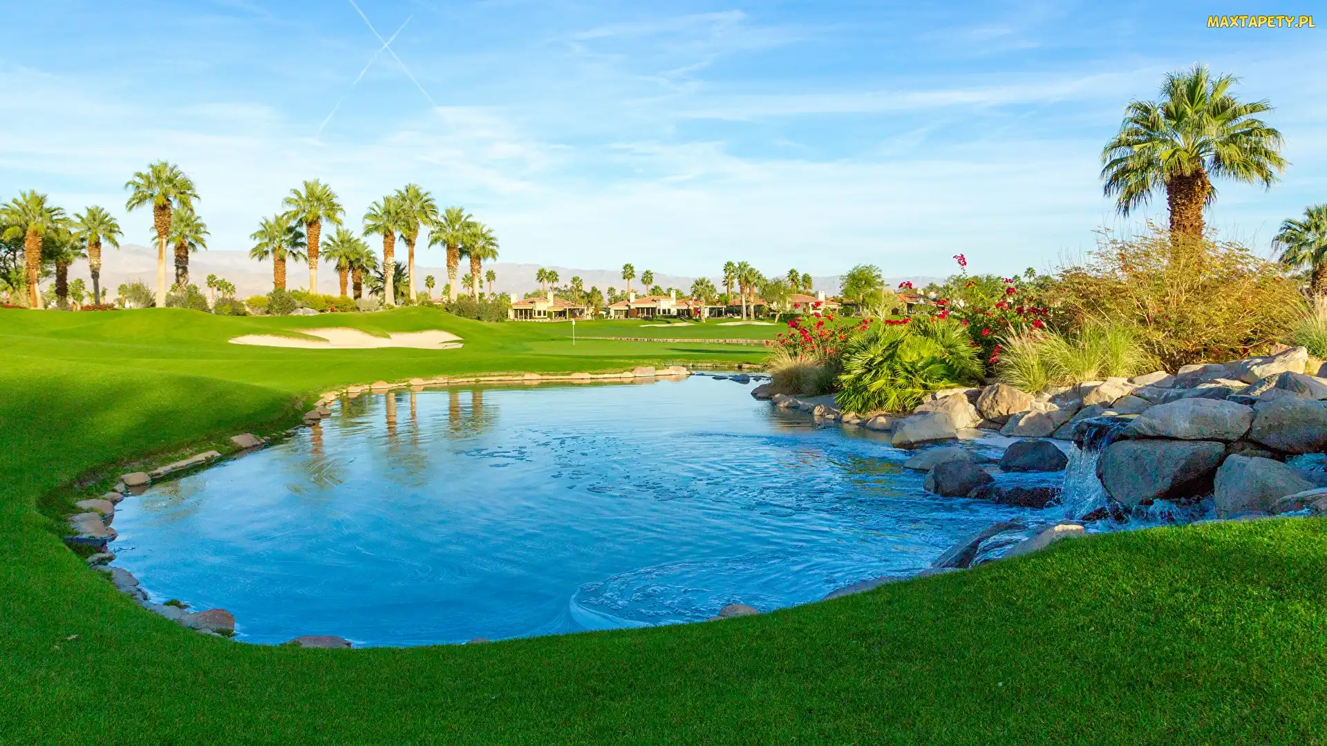 Kalifornia, Miejscowość Palm Springs, Staw, Stany Zjednoczone, Palmy, Pole golfowe, Kamienie