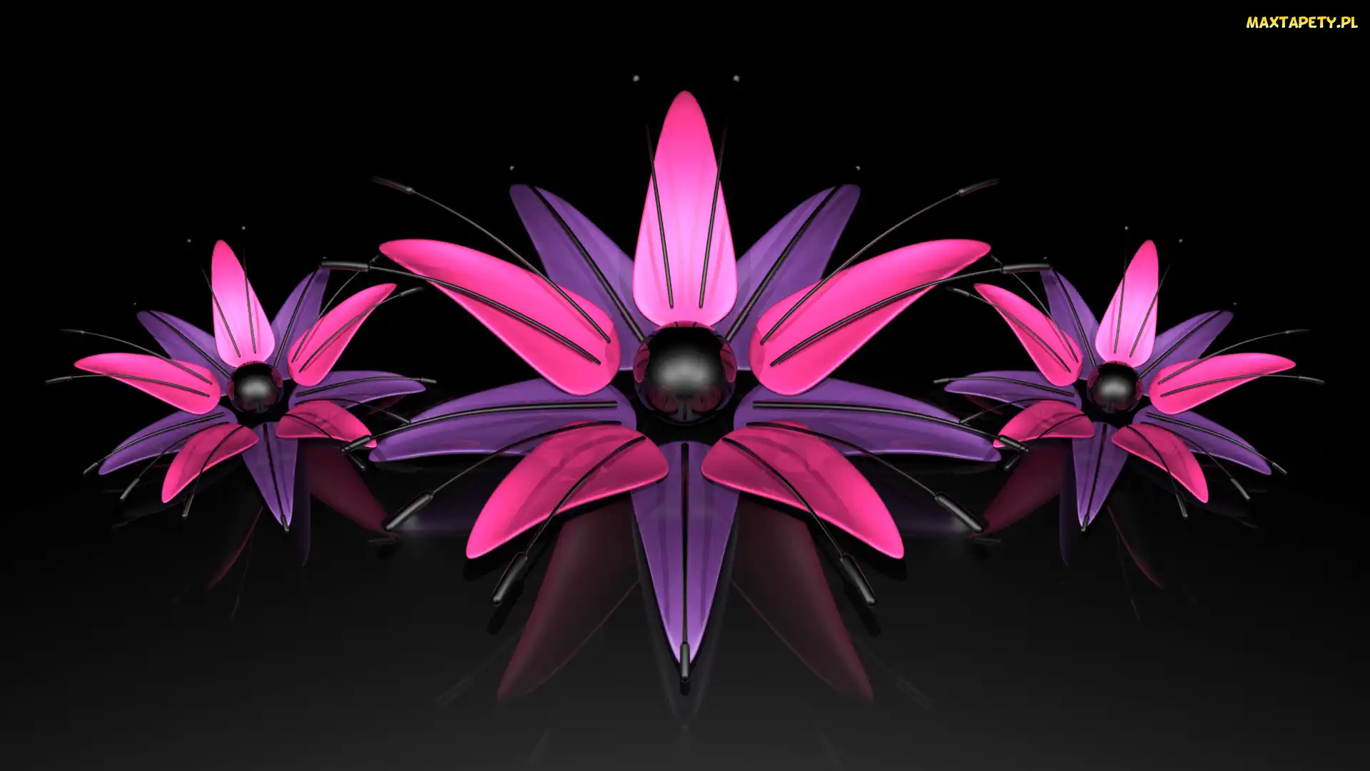 Trzy, Kwiaty, Grafika 3D