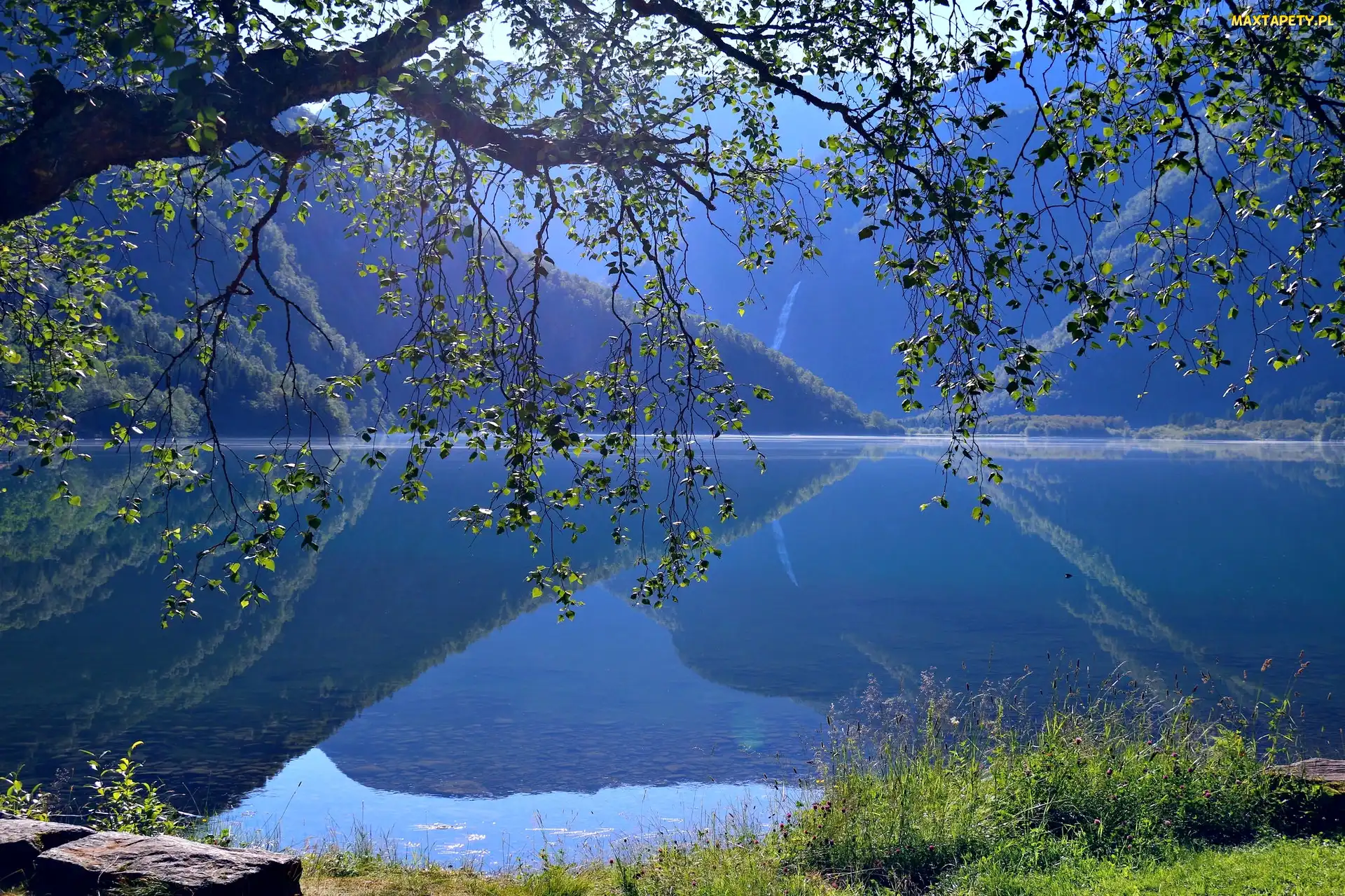 Odbicie, Góry, Region Trondelag, Norwegia, Jezioro Eidsvatnet, Drzewo