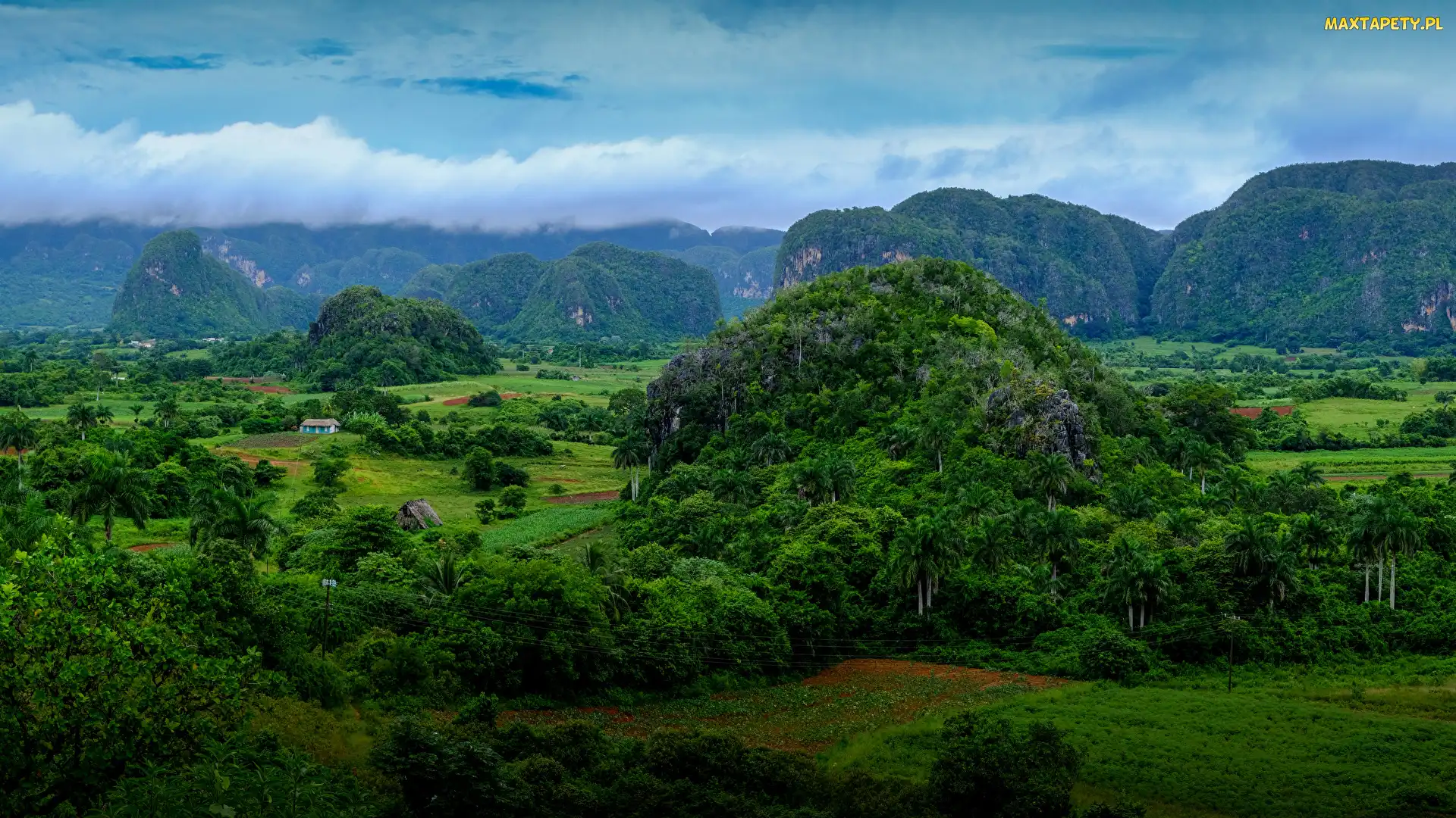 Prowincja Pinar del Rio, Pasmo Sierra de los Organos, Wzgórza, Dolina Valle de Vinales, Kuba