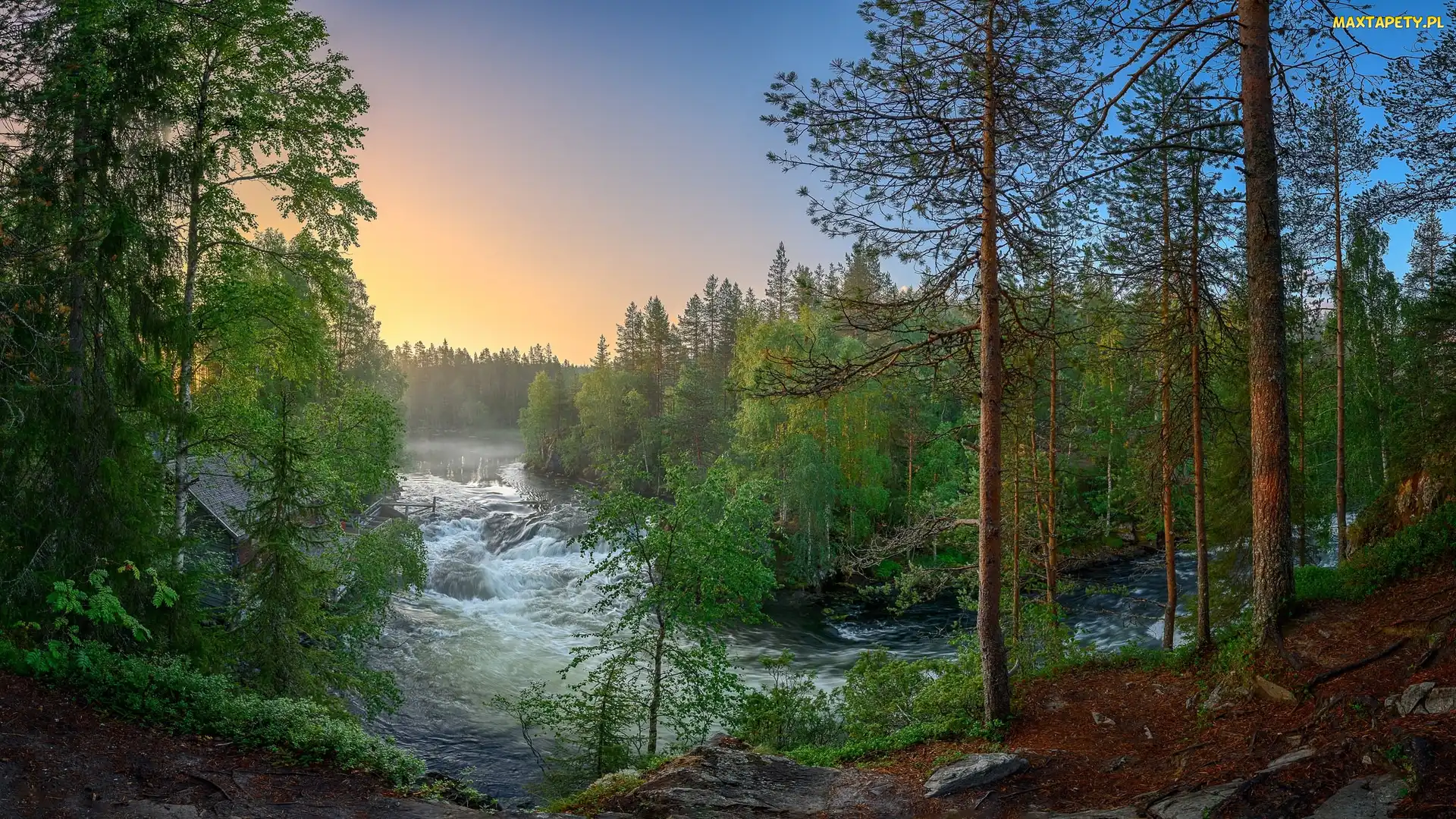 Laponia, Wiosna, Finlandia, Park Narodowy Oulanka, Rzeka, Rzeka Kitkajoki, Drzewa, Las