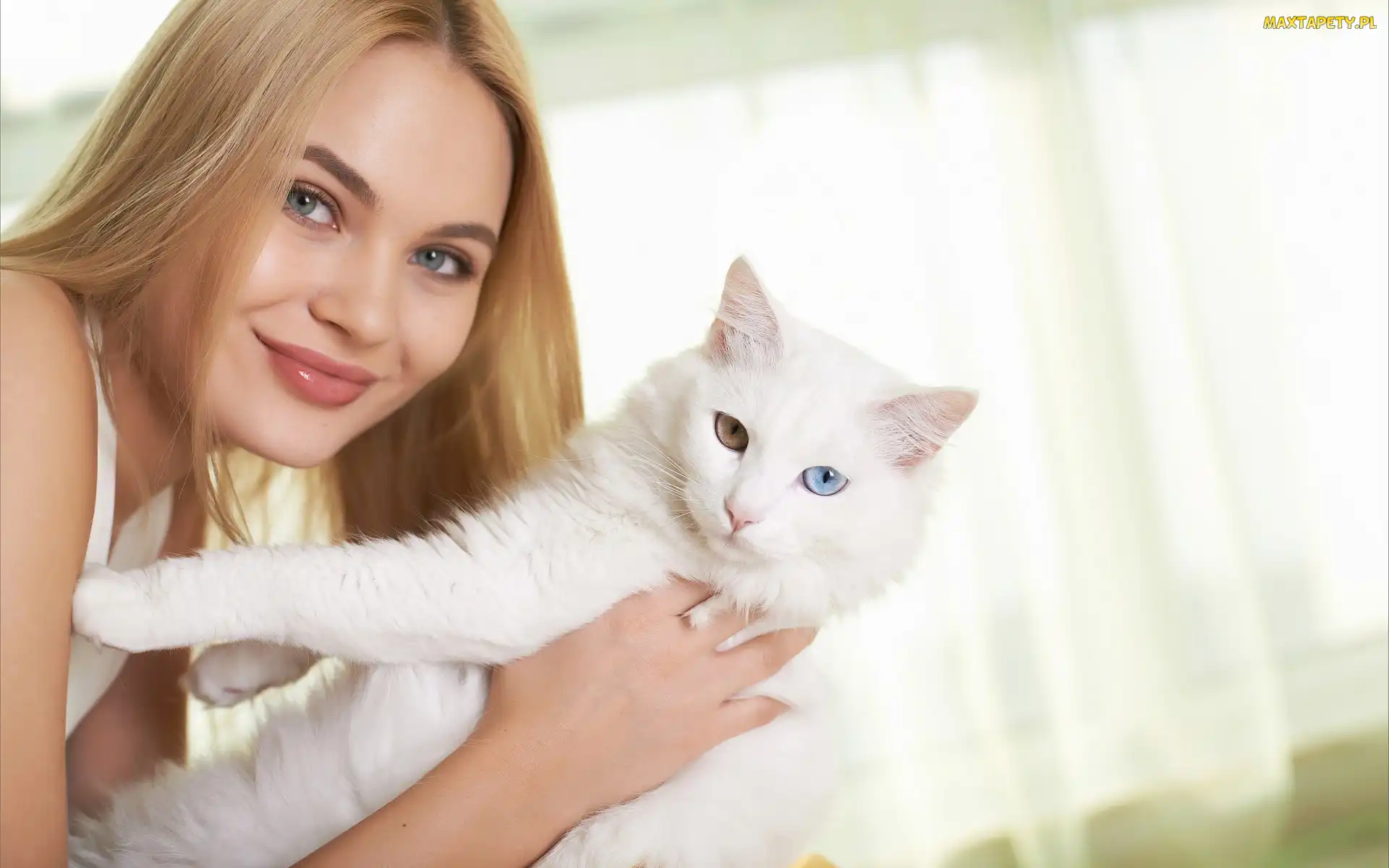 Kobieta, Angora turecka, Biały, Kot, Blondynka
