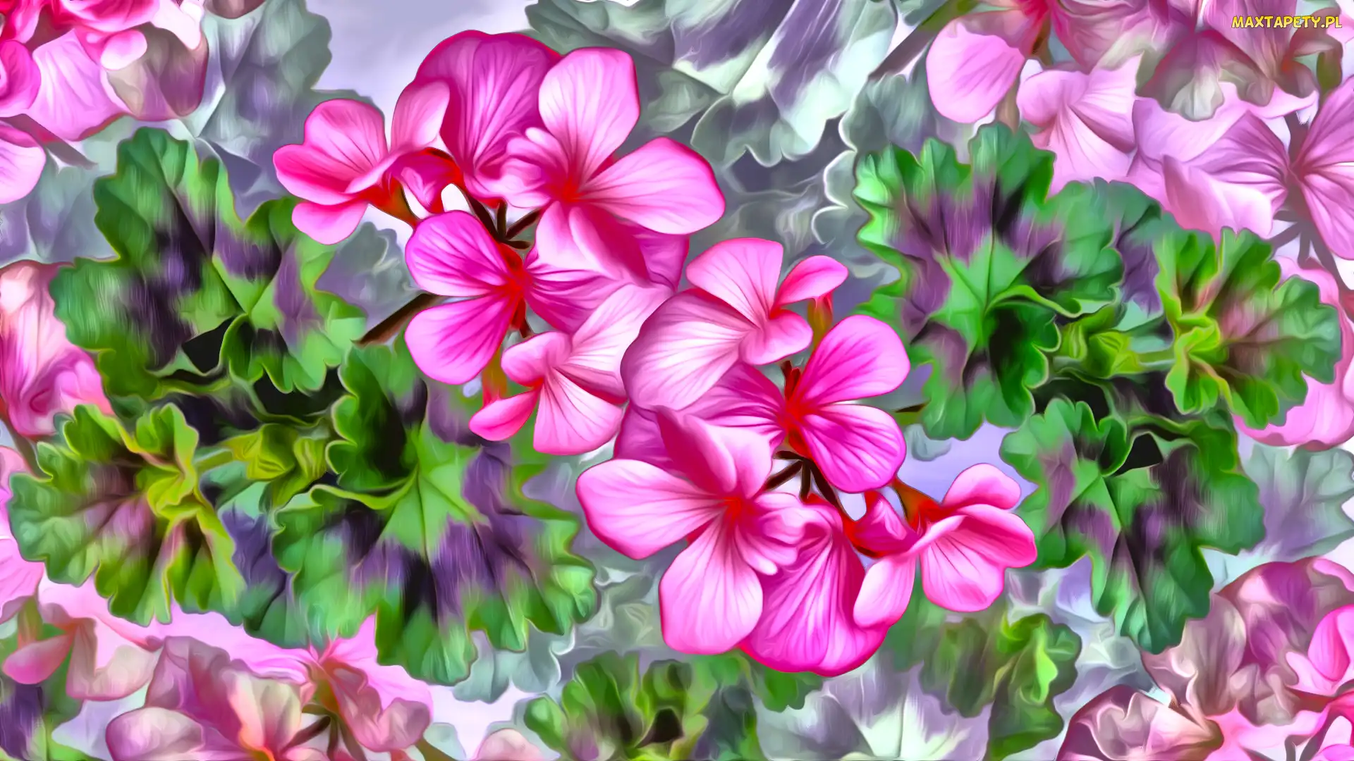 Grafika, Liście, Kwiaty, Pelargonie