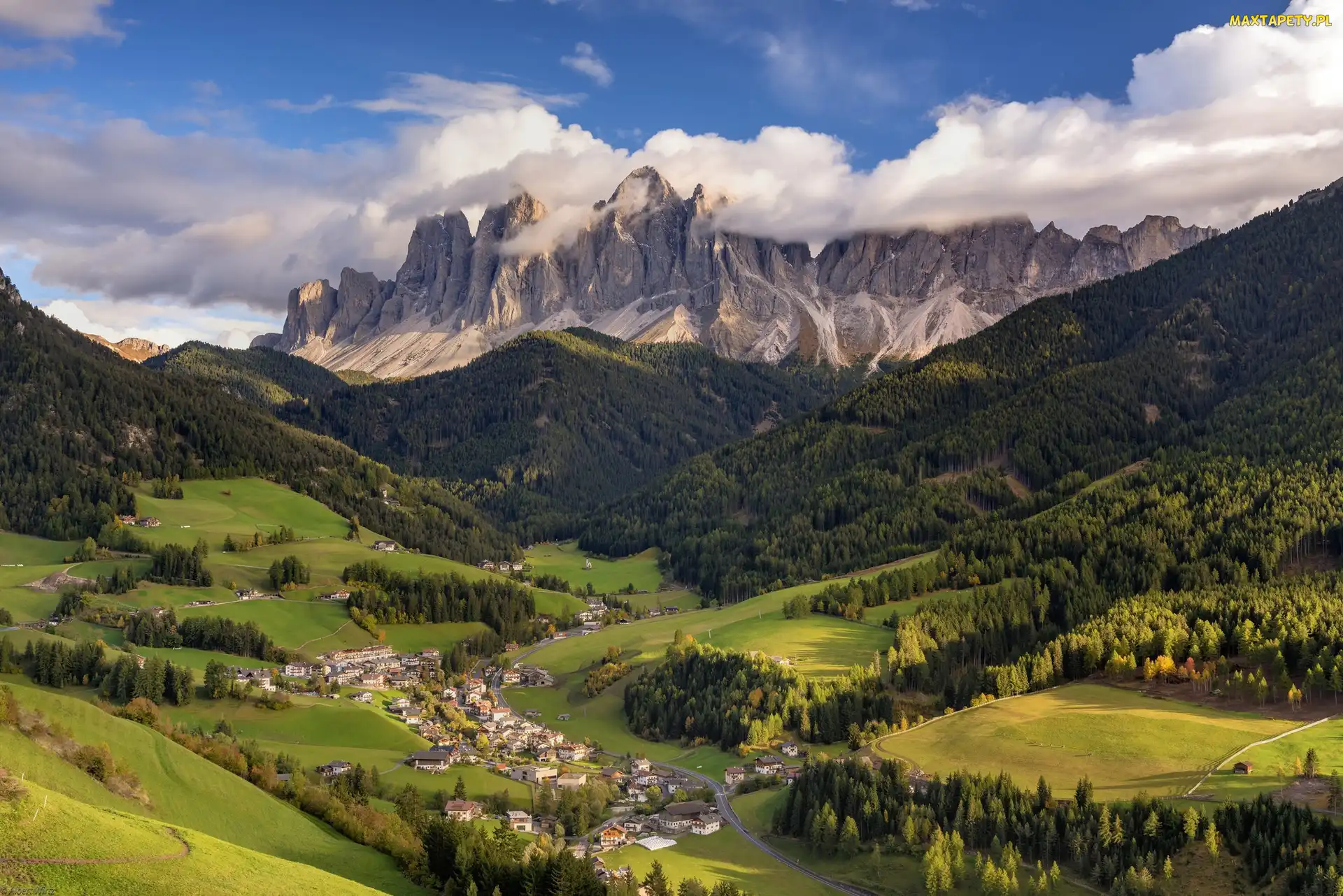 Dolina, Góry Dolomity, Region Trydent-Górna Adyga, Włochy, Prowincja Bolzano-Alto Adige, Drzewa