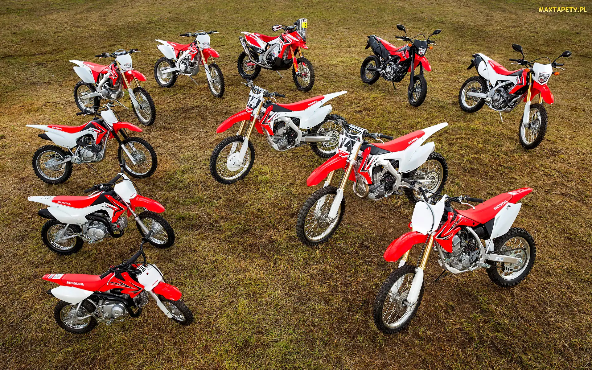 Honda CRF, Czerwono-białe, Motocykle
