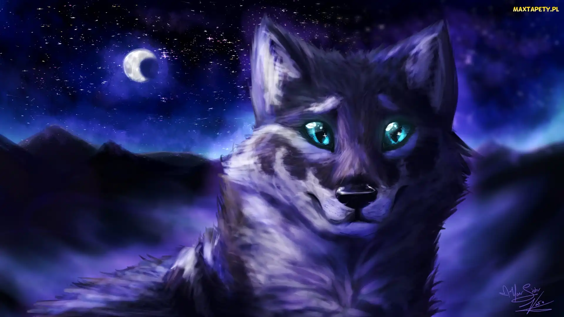 Noc, Digital Art, Wilk
