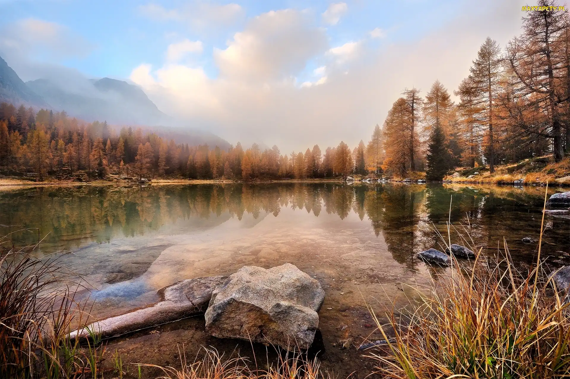 Las, Chmury, Jezioro Lago di San Pellegrino, Góry Dolomity, Mgła, Włochy, Dolina Vall di Fassa, Trydent-Górna Adyga, Drzewa, Kamienie, Szuwary