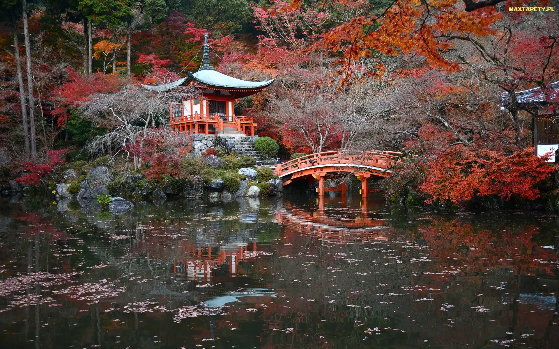 Świątynia Benten-do, Jesień, Kompleks świątynny Daigo-ji, Staw, Kioto, Mostek, Japonia, Drzewa