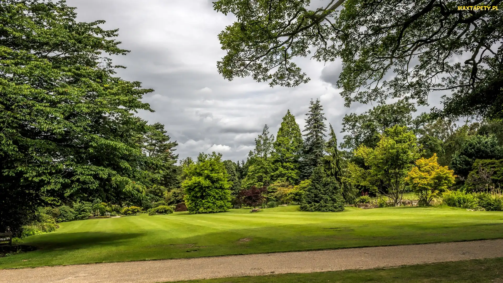 Anglia, Miejscowość Harrogate, Park, Ogród Garden Harlow Carr, Drzewa, Krzewy