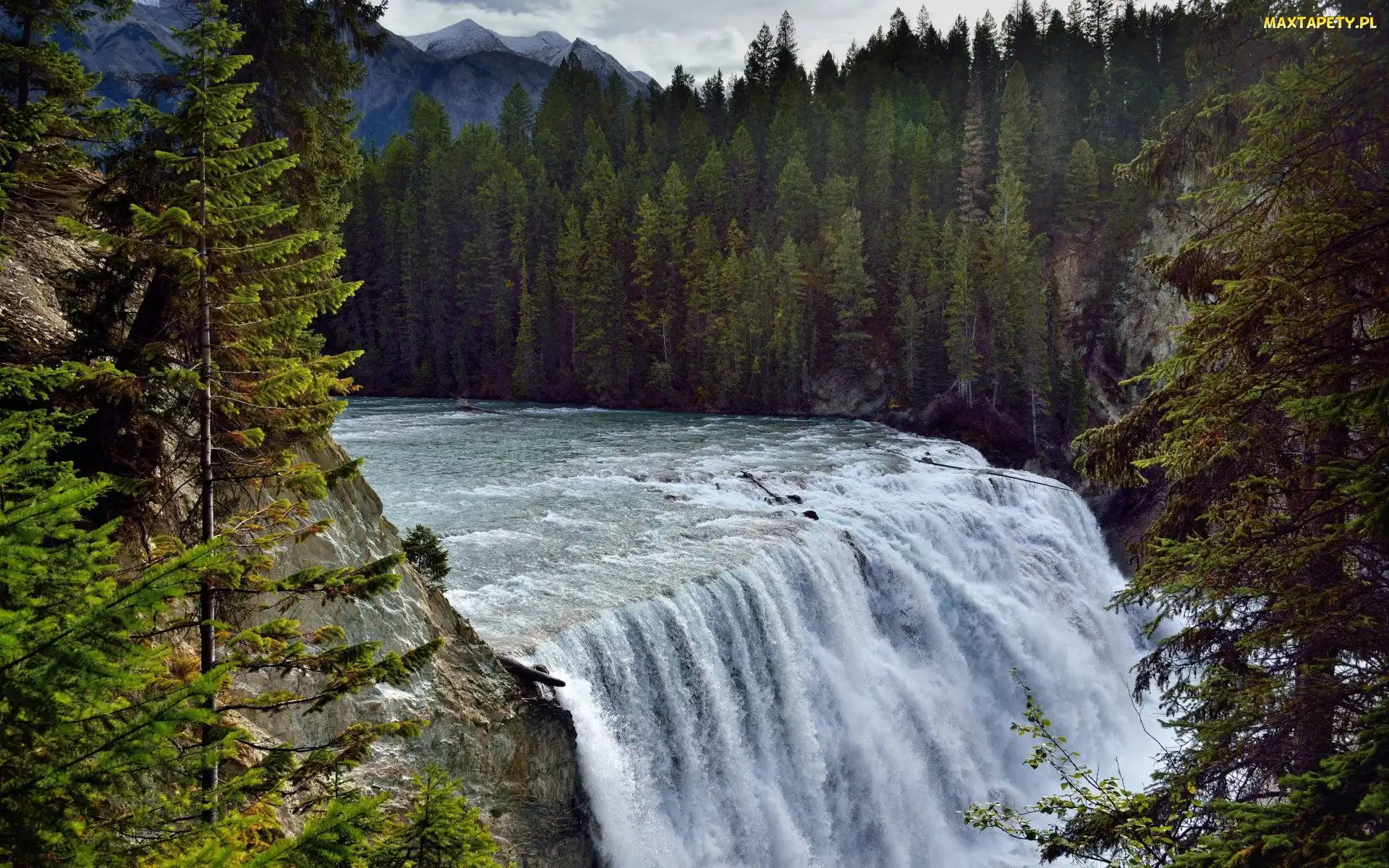 Wodospad Wapta Falls, Las, Góry, Park Narodowy Yoho, Prowincja Kolumbia Brytyjska, Rzeka Kicking Horse, Kanada, Drzewa