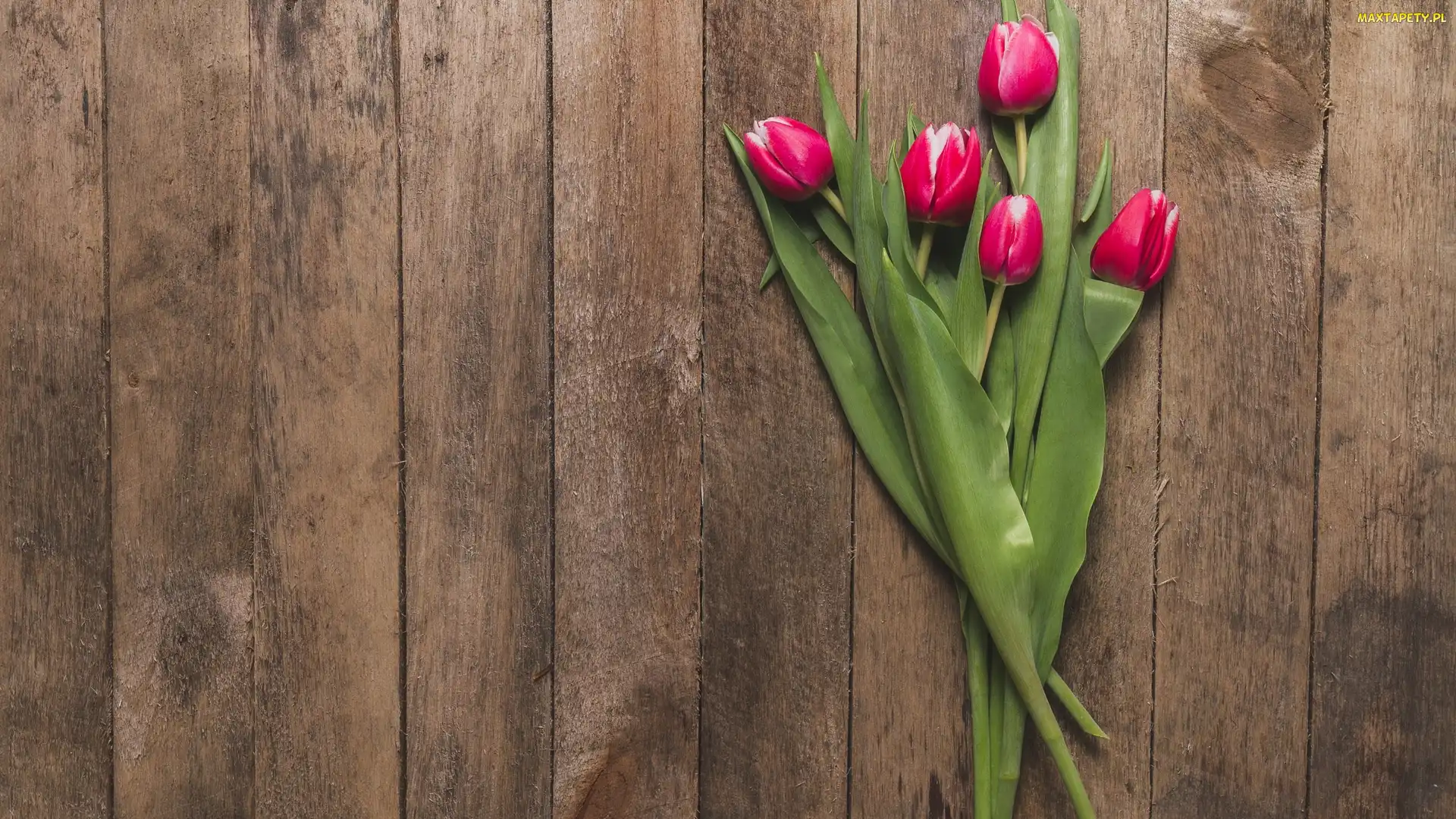 Tulipany, Deski, Tulipanów, Pięć, Kwiaty