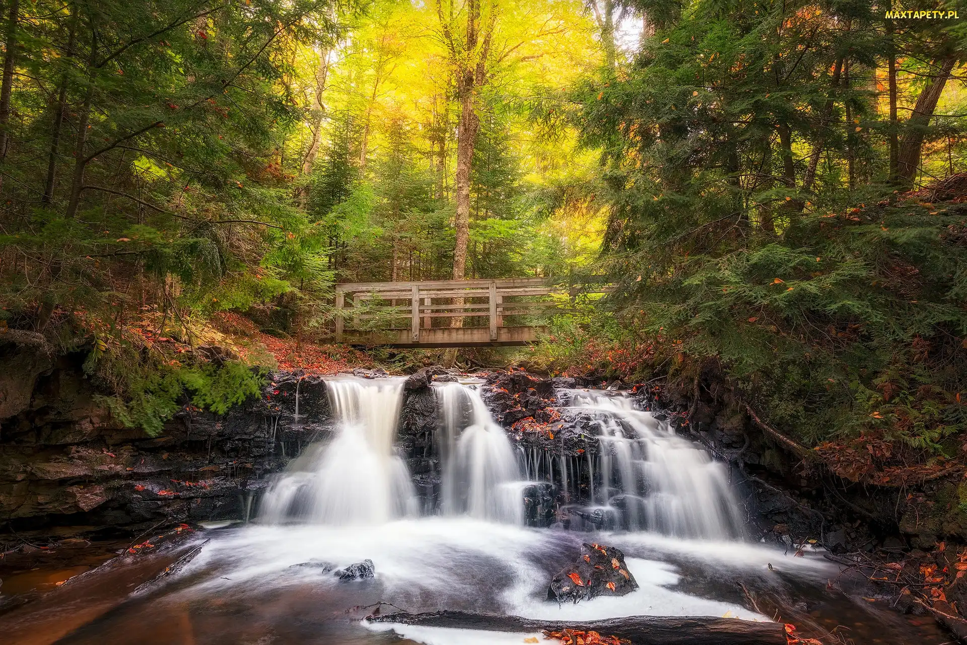 Wodospad Chapel Falls, Park Narodowy Pictured Rocks National Lakeshore, Las, Mostek, Stan Michigan, Jesień, Stany Zjednoczone, Miejscowość Munising