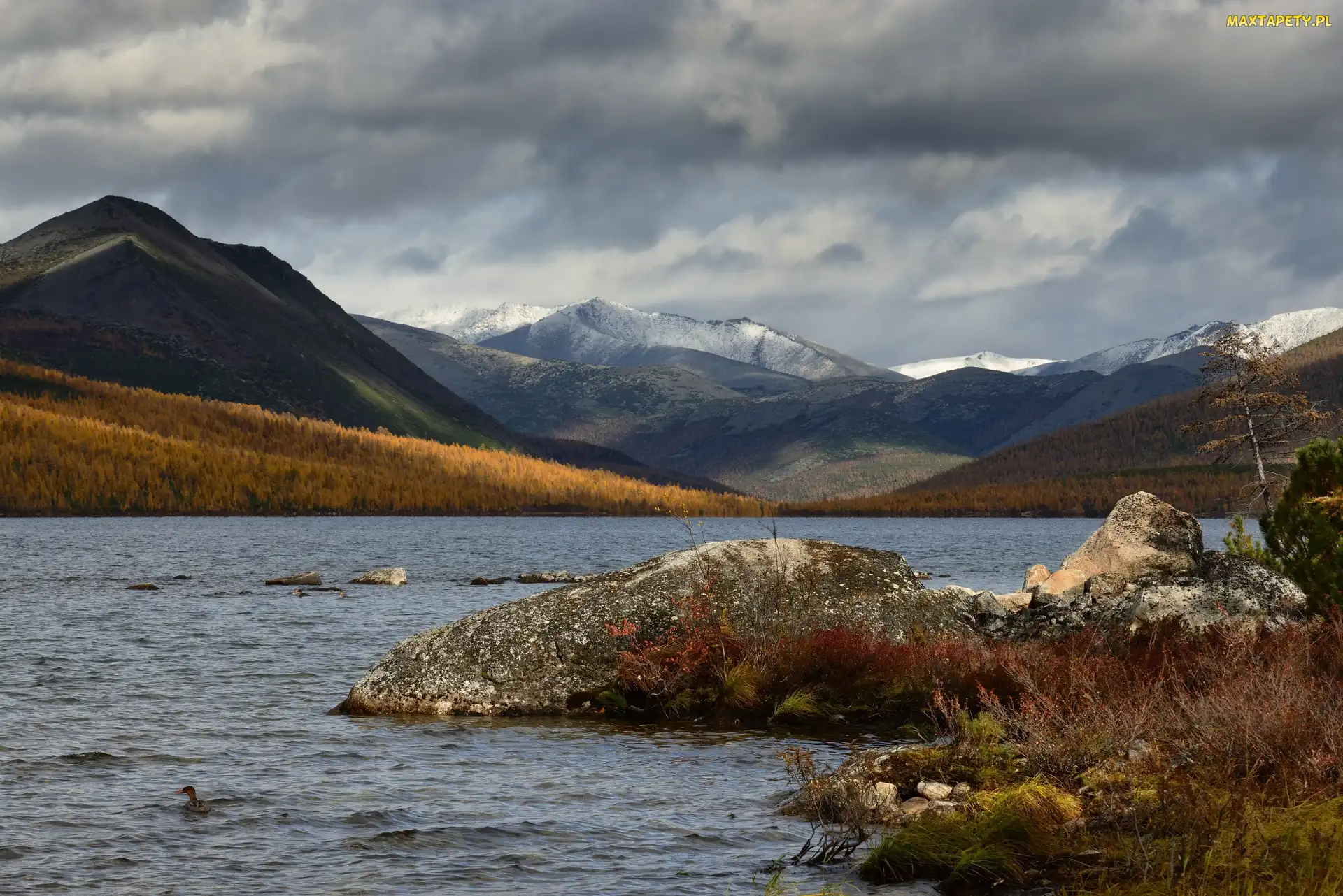 Jezioro Jack London, Magadan, Kaczki, Rosja, Kołyma, Skały, Góry Kołymskie, Roślinność, Kamienie