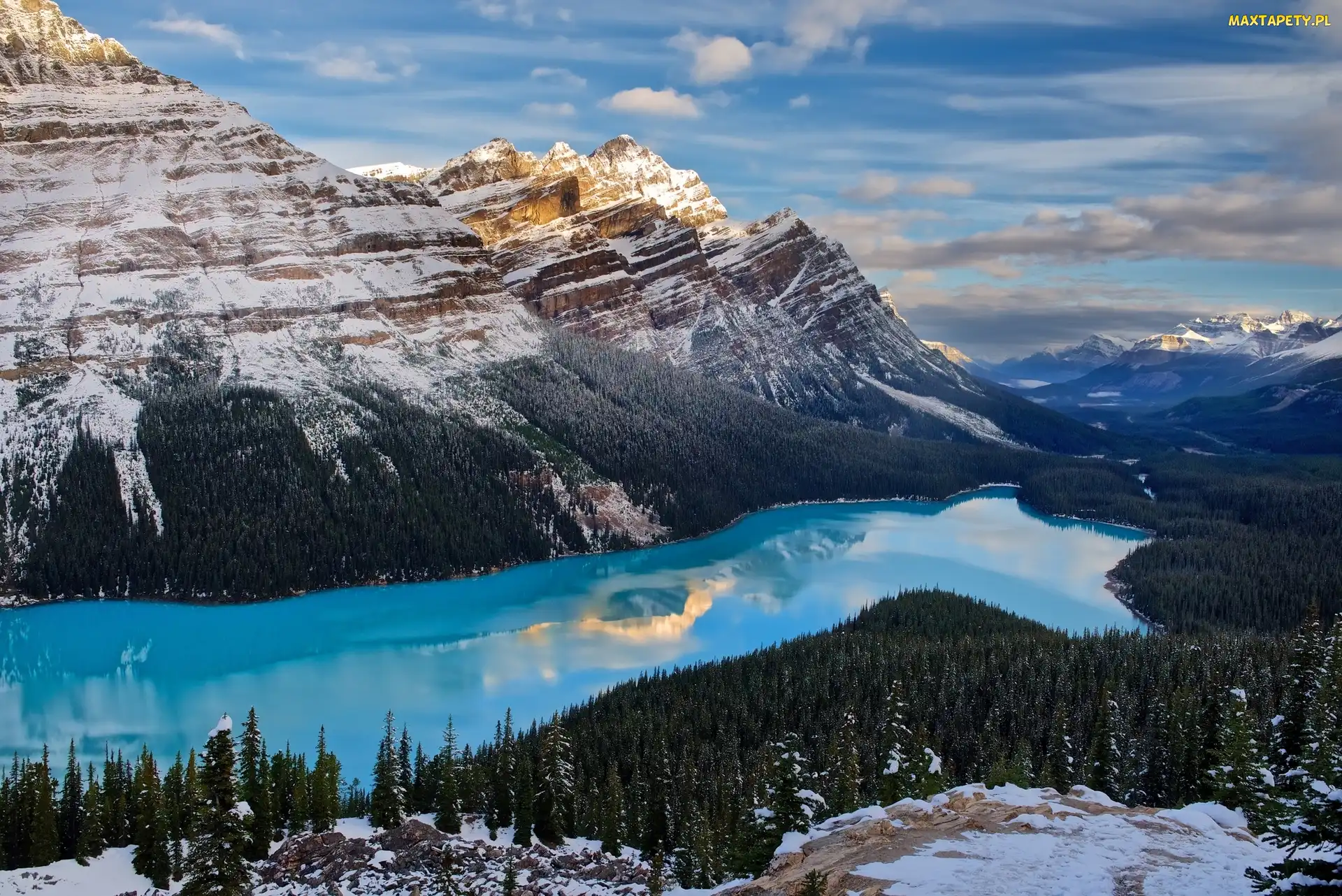 Zima, Lasy, Park Narodowy Banff, Kanada, Góry Canadian Rockies, Jezioro Peyto Lake