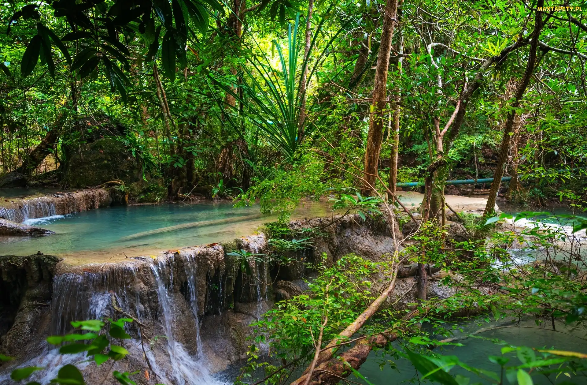 Prowincja Kanchanaburi, Park Narodowy Erawan, Wodospad Erawan waterfall, Tajlandia, Krzewy, Las, Drzewa