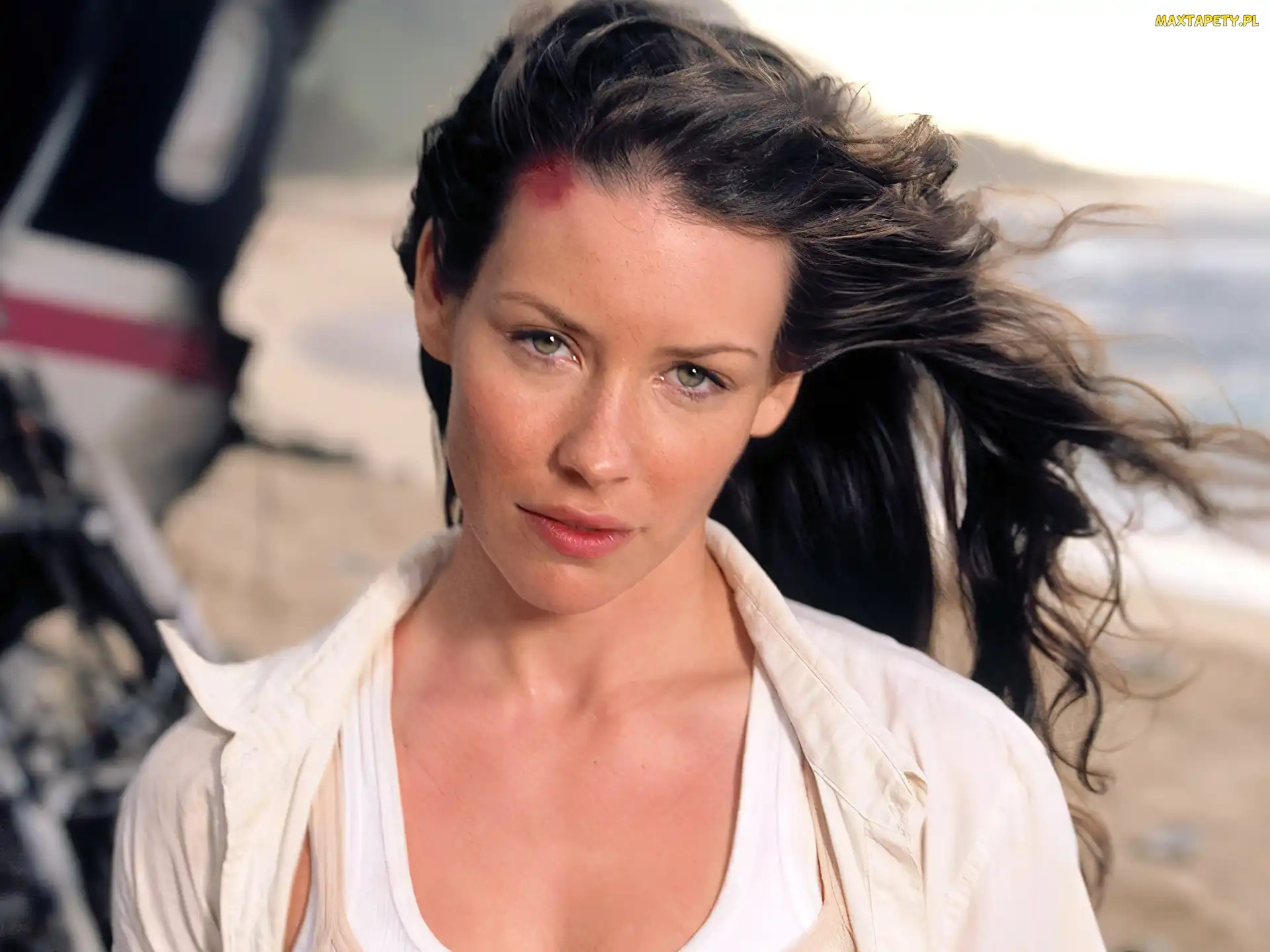 Evangeline Lilly, Lost, Serial, Zagubieni