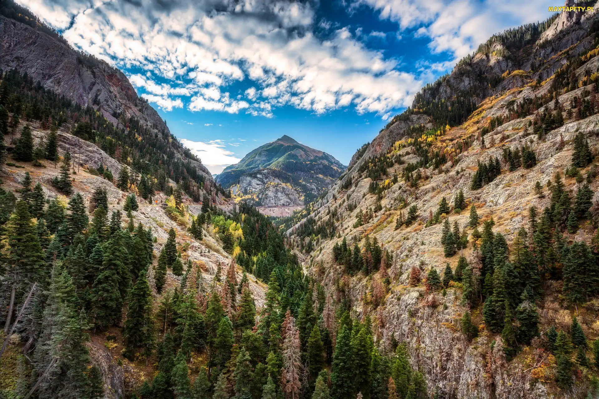 Stany Zjednoczone, Stan Kolorado, Szczyt Uncompahgre Peak, Góry San Juan Mountains, Drzewa, Chmury