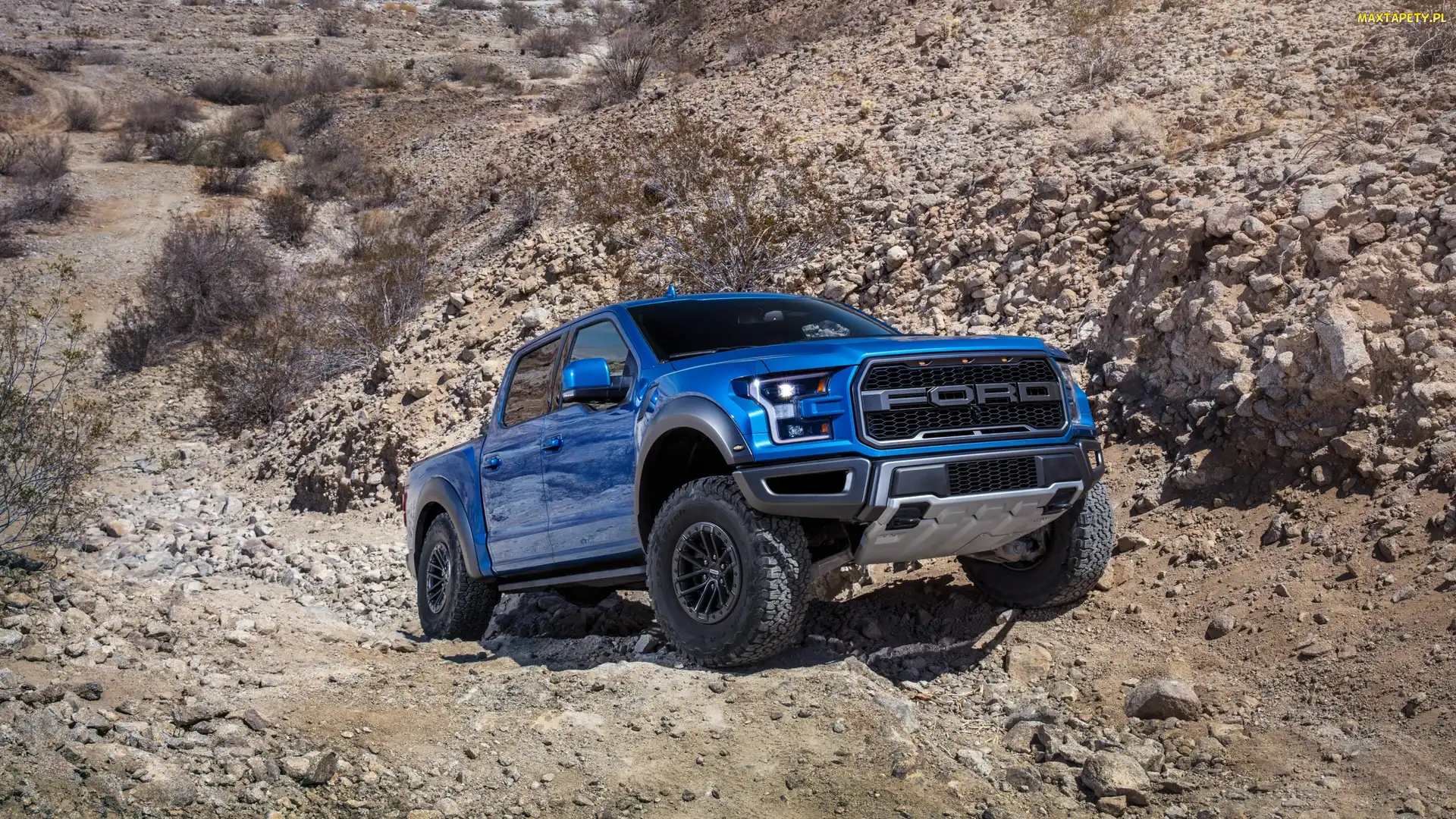 Seria XIII, Ford F 150 Raptor