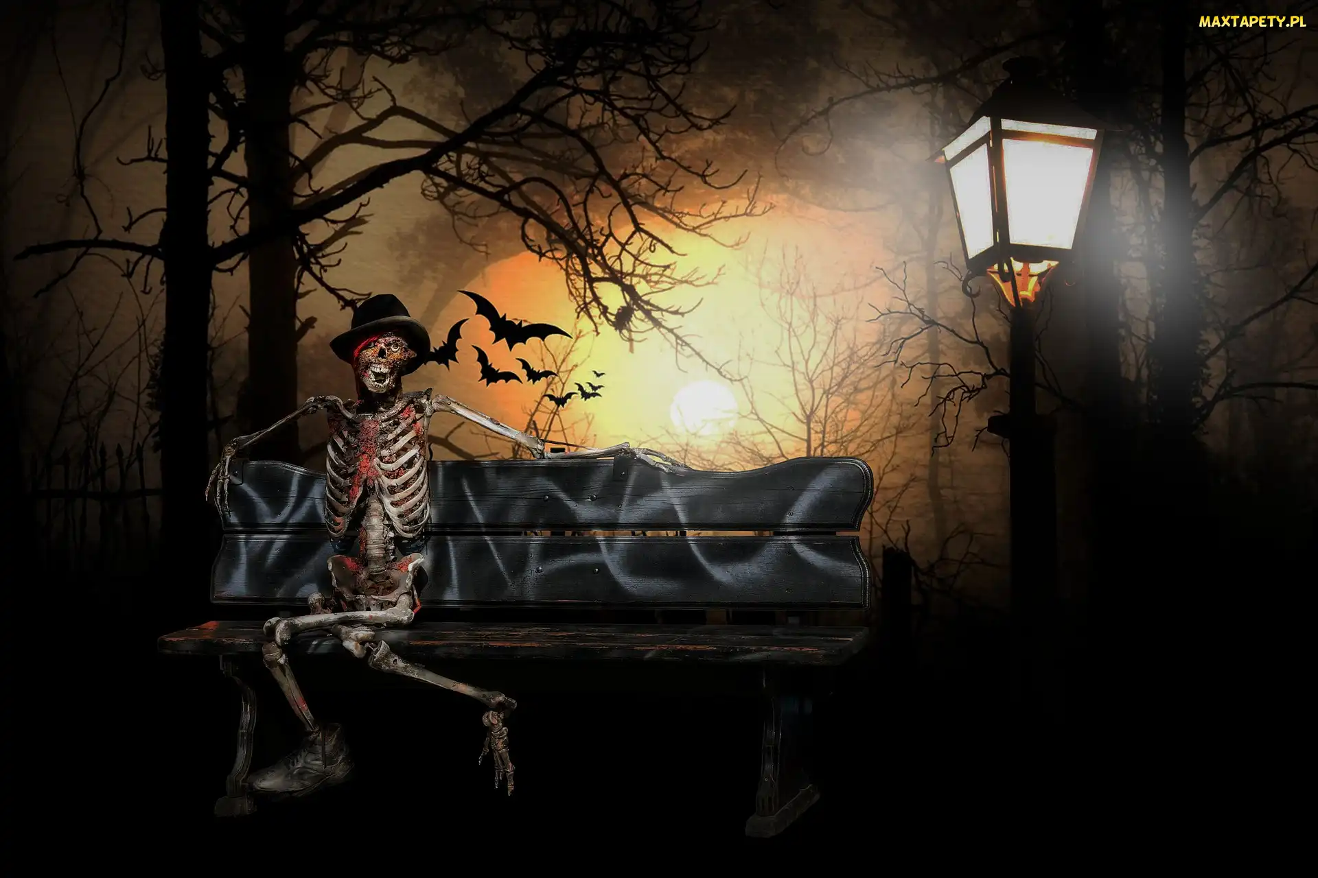 Szkielet, Lampa, Ptaki, Ławeczka, Halloween