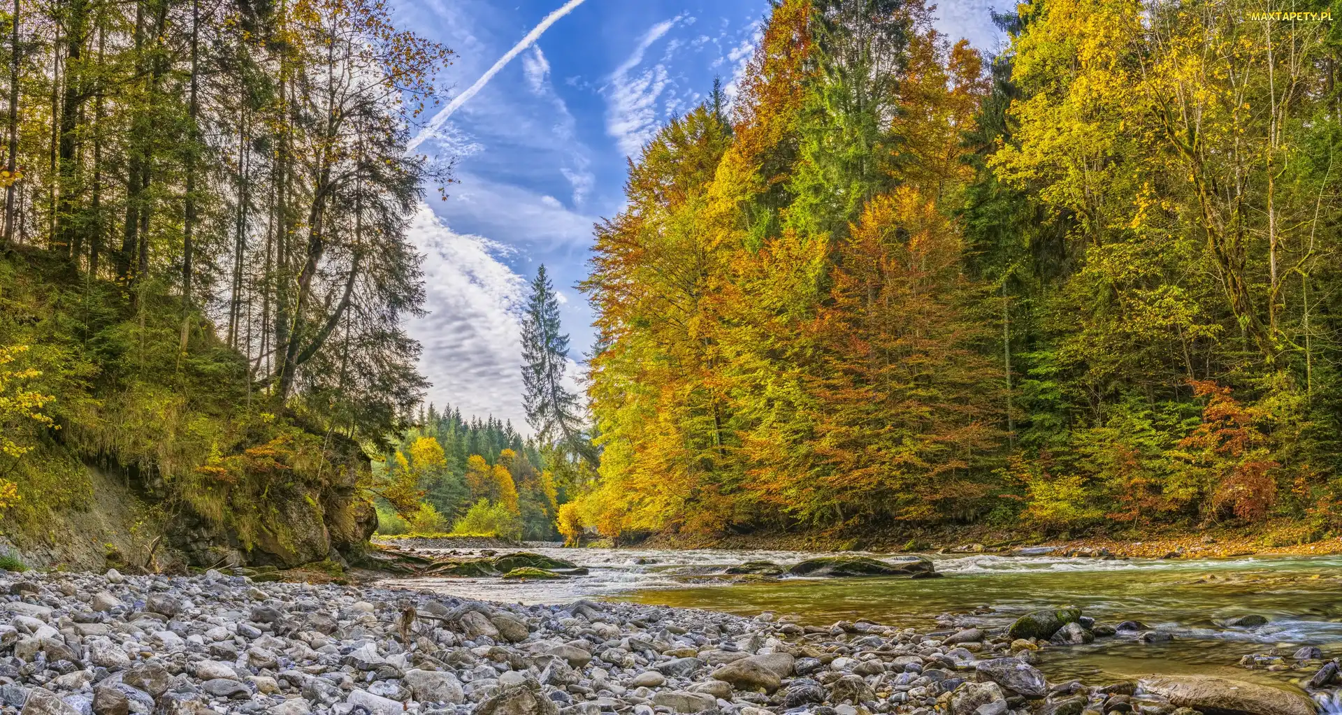 Drzewa, Kamienie, Rzeka, Las
