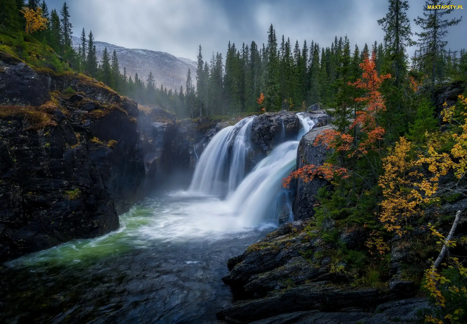 Gmina Hemsedal, Wodospad Rjukandefossen, Góry, Norwegia, Skały, Jesień, Świerki